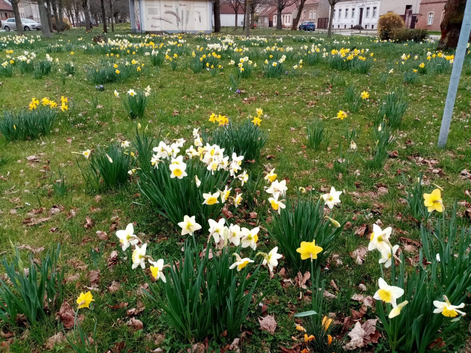 479ee435-26f4-4982-83ac-9f7d18435320