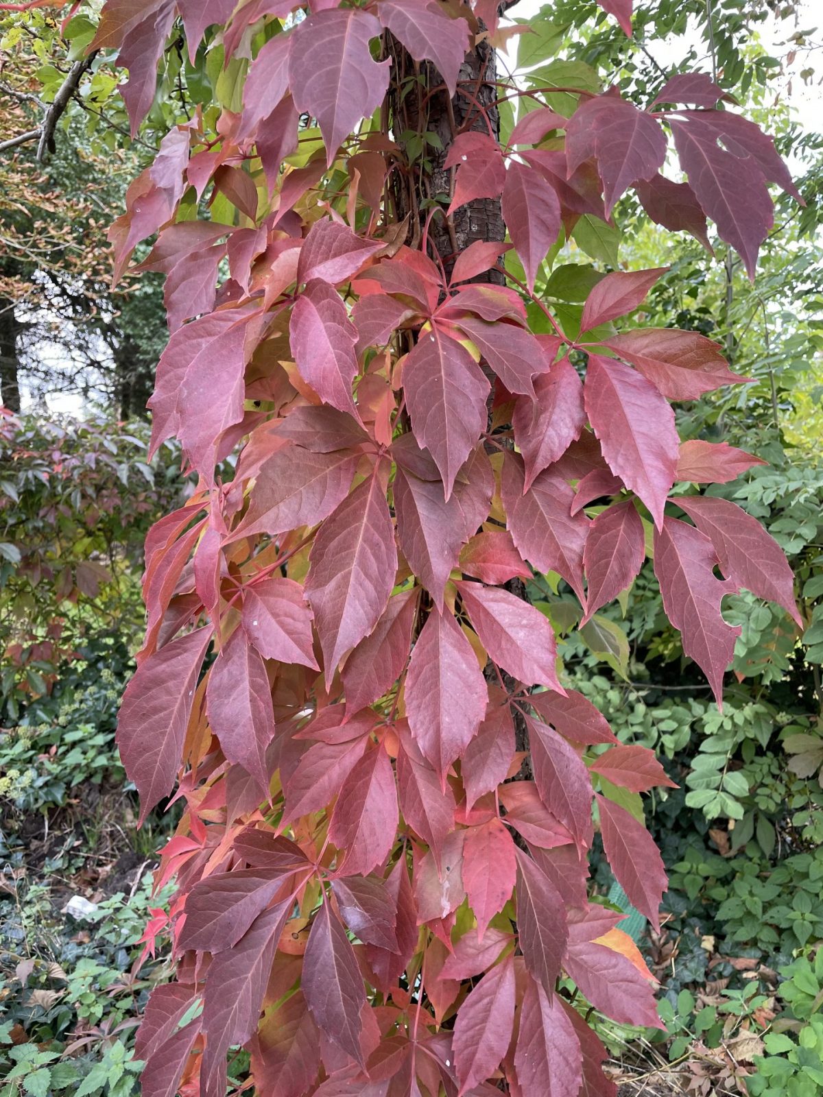 47BB2464-62D1-46FD-A9C3-B1EBA9EE206E