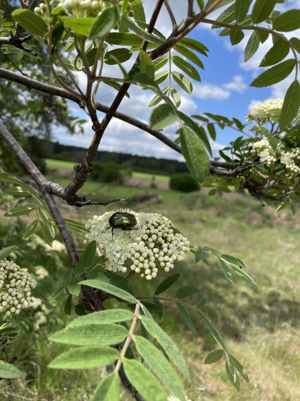 47F40EF4-5CEF-4B93-B28F-F6E2BFE04077