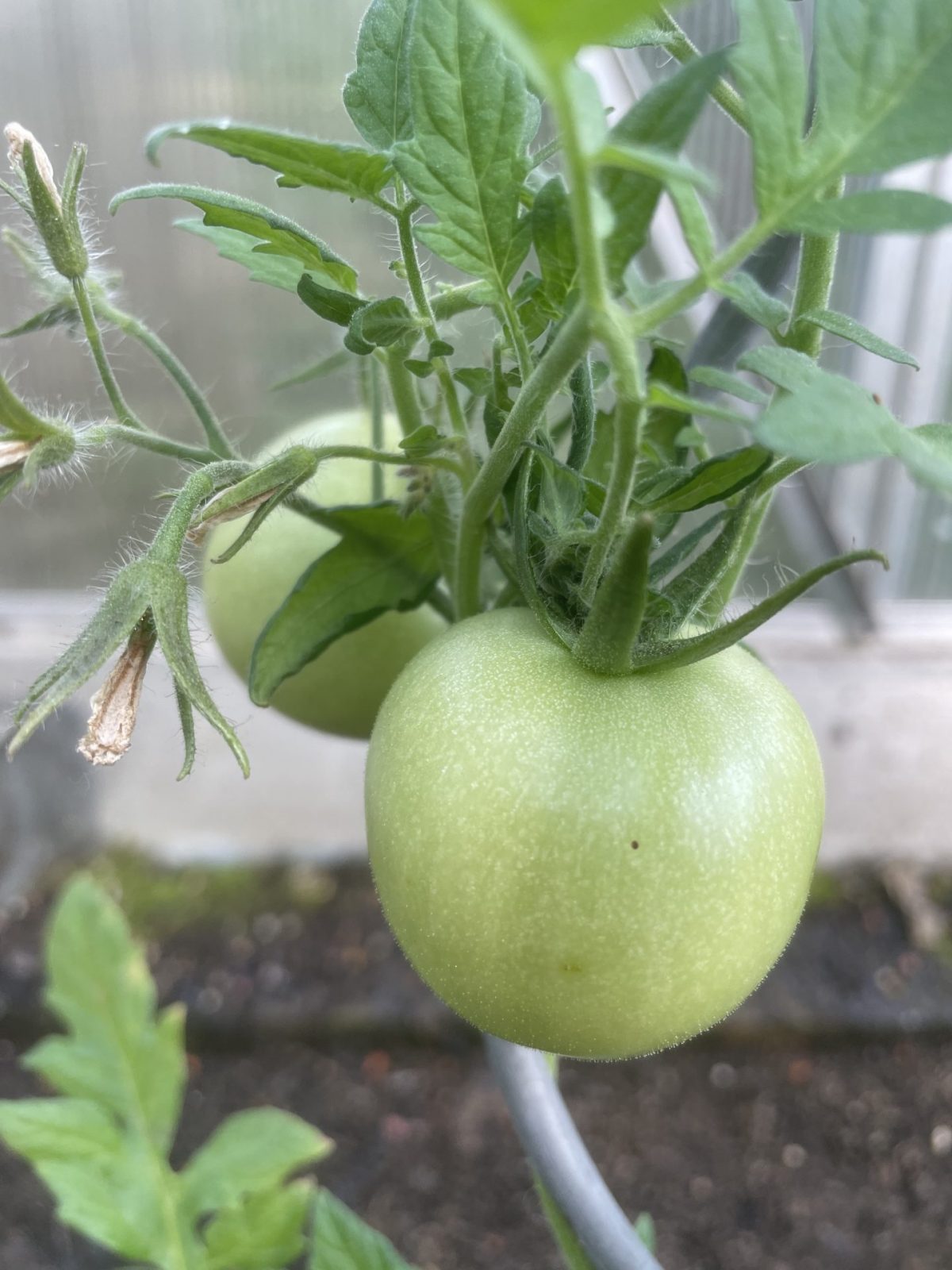 47F9A80C-BE2B-4293-ACAE-363818143A4A