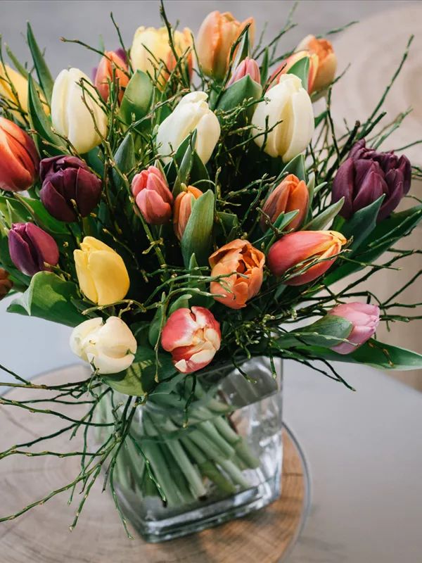 480128843_9200584366685833_3192601856816866787_n