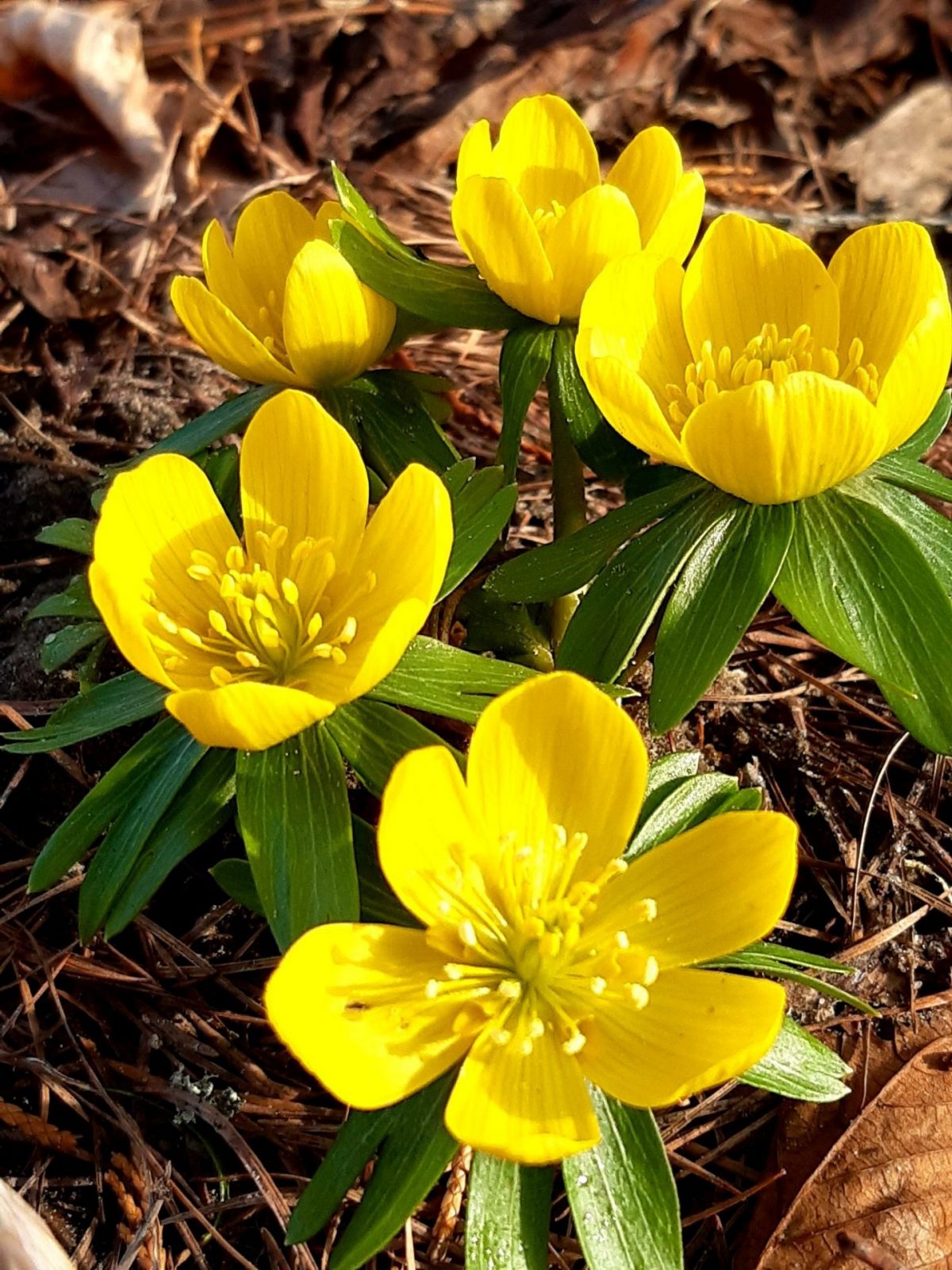 480756088_1194354325549580_7378513684867988868_n