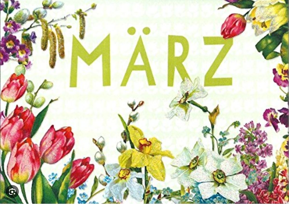 481108322_1885877082240524_8612354965230738536_n.jpg März