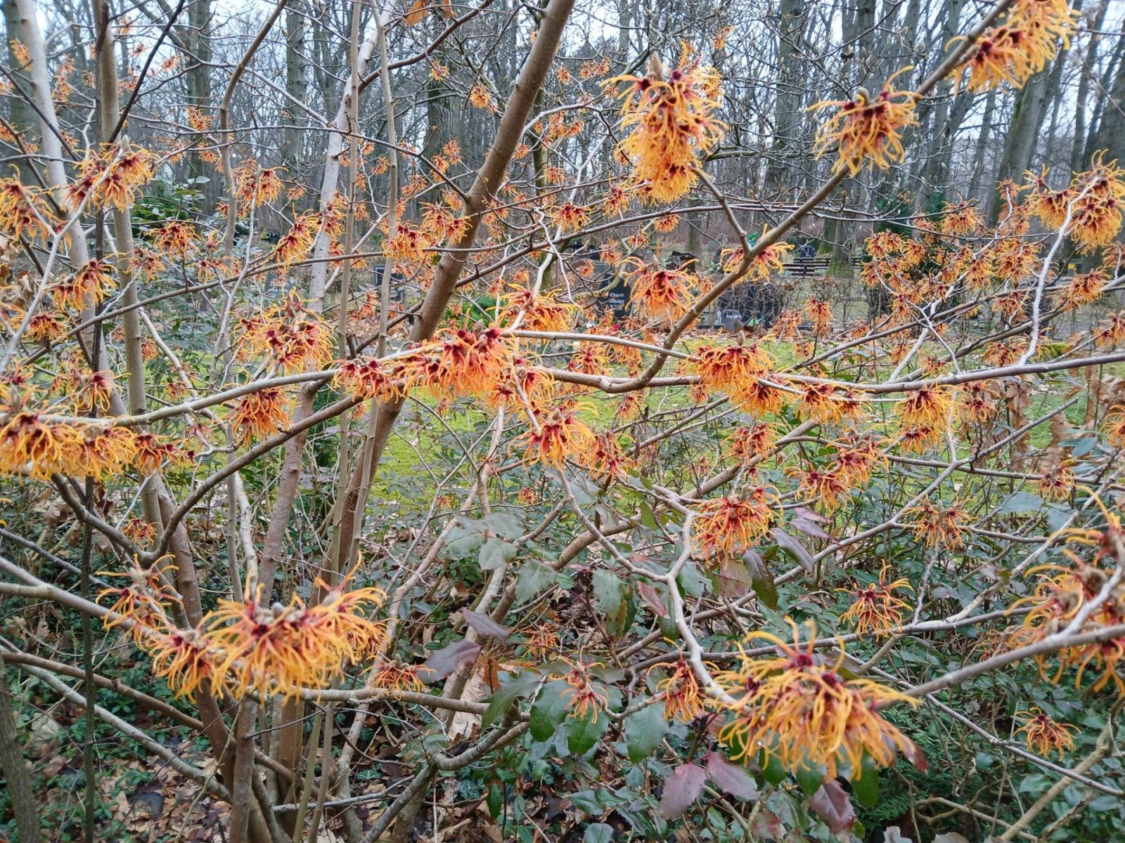 48312184-46a9-409c-b8fa-28ecbee6905c