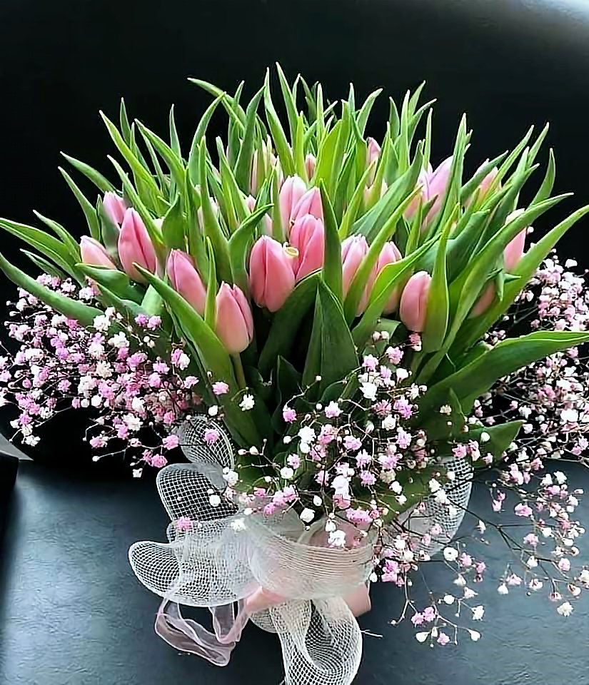 484021072_1187094796753386_9032703797314545073_n (1)