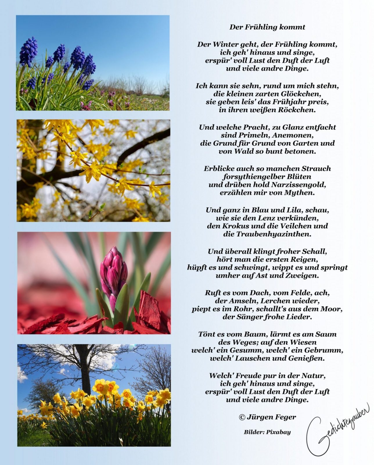 486104231_1203474225095554_7834585680729555737_n