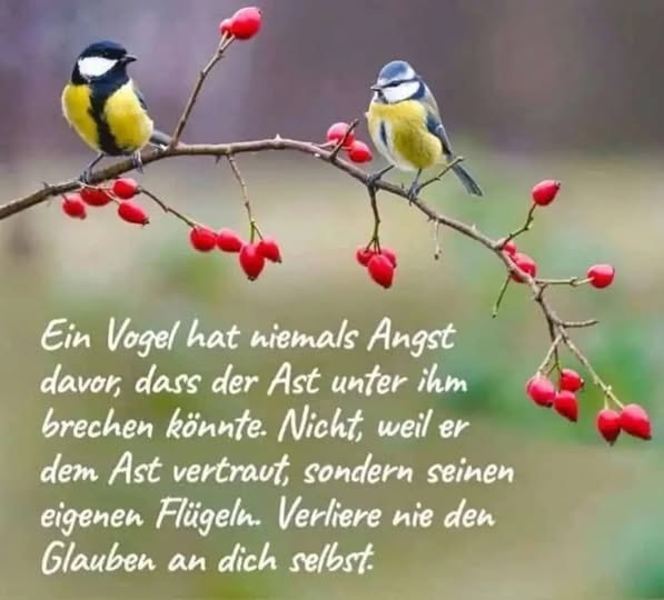 489172548_1707303676826598_2530623424378801483_n