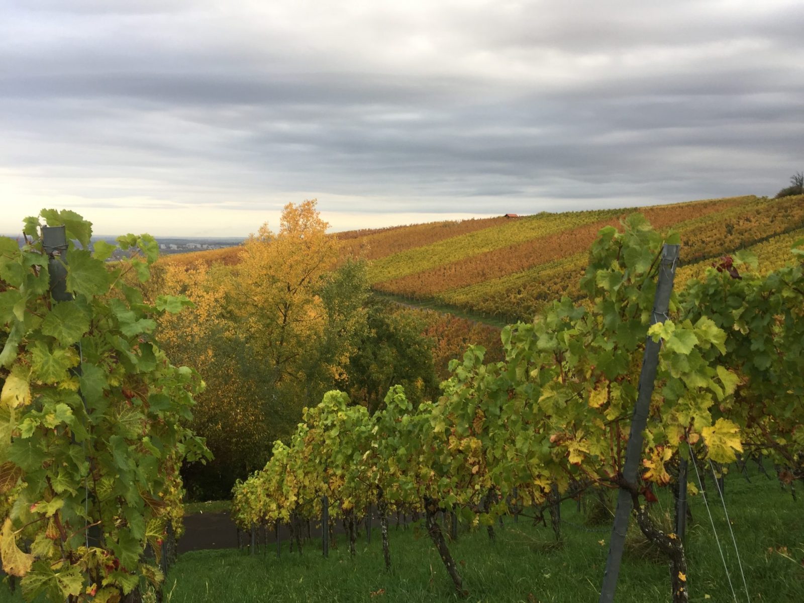 48BA5739-C342-4266-ADD3-1519FA67CF63