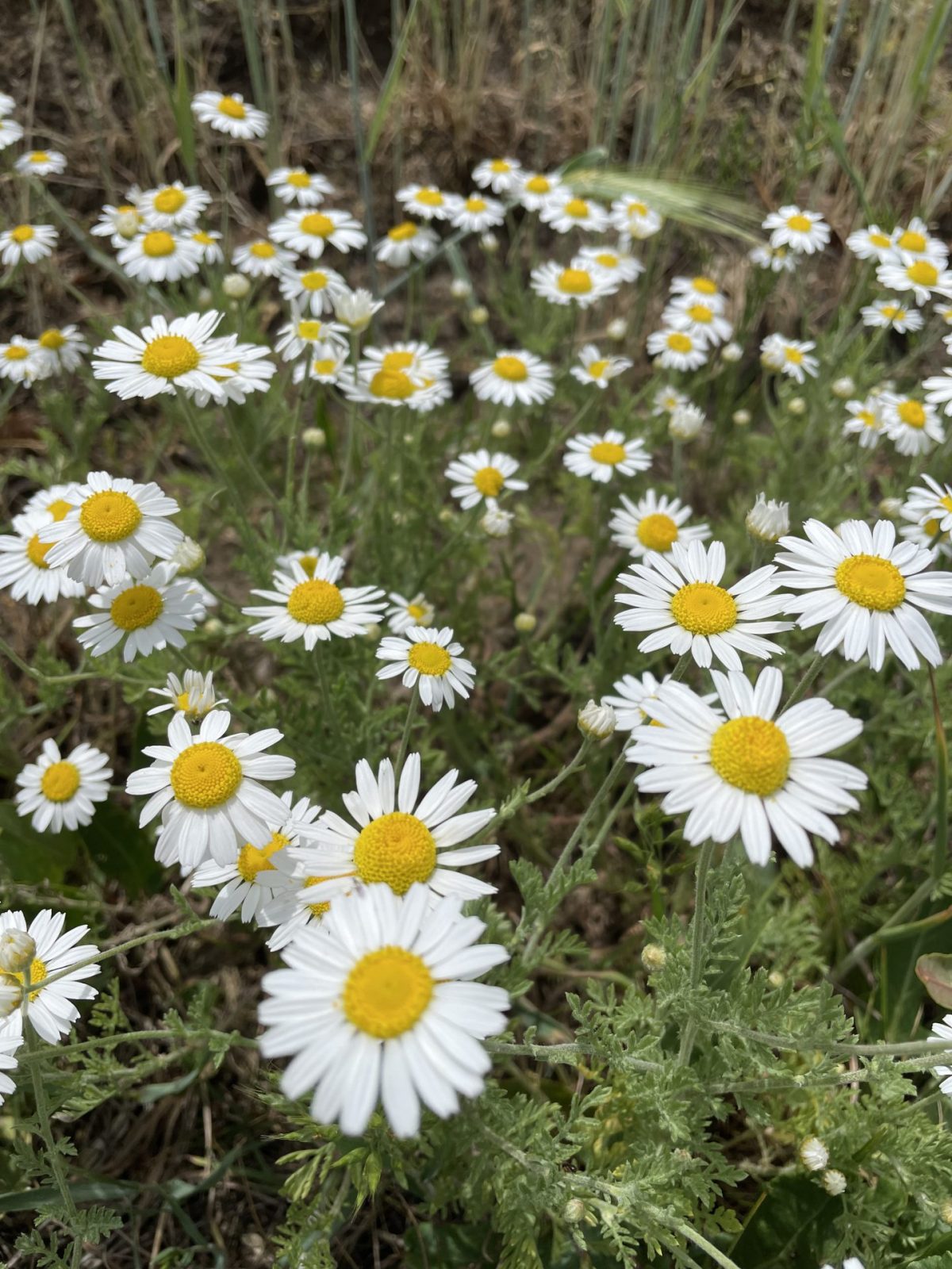 48EE7351-4233-430D-BB50-3303CFC4F56C