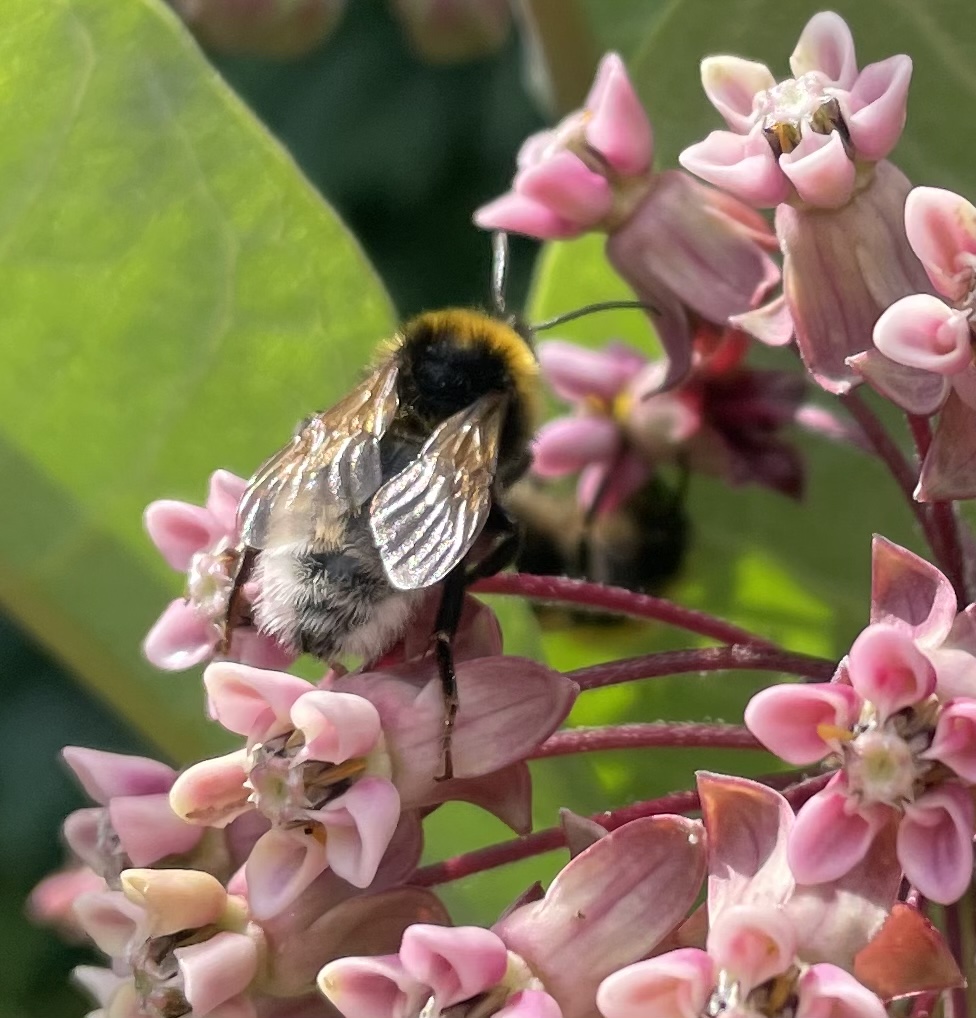 48FE72AB-F3EF-4345-BF1A-9D40AA612CE9