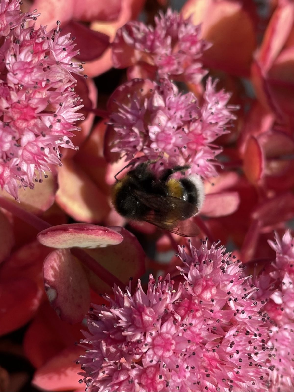 490C4E2F-2F64-4FFB-943F-04970DBF6FAF