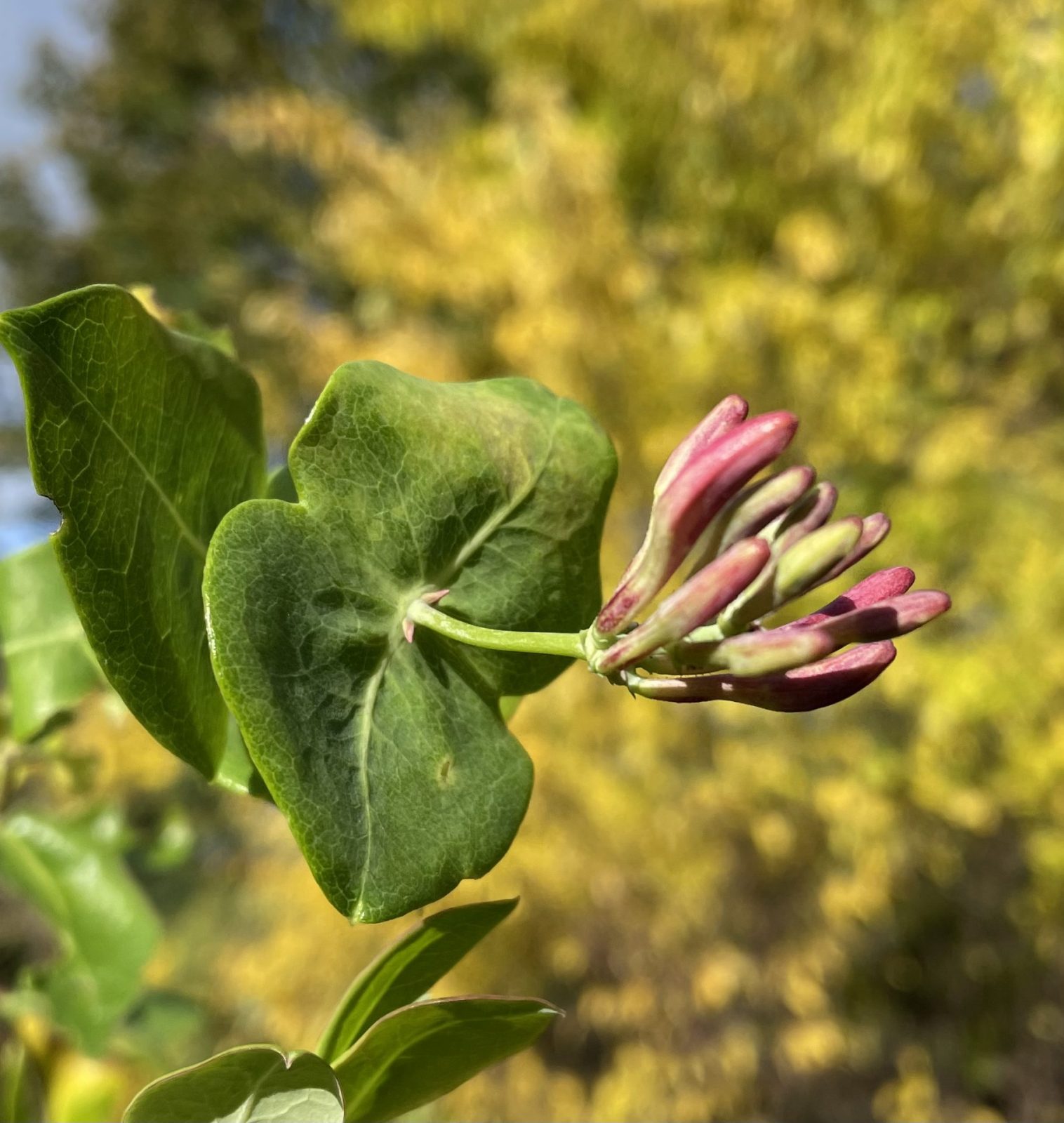 49195555-A449-454A-BCA7-597670EB6598