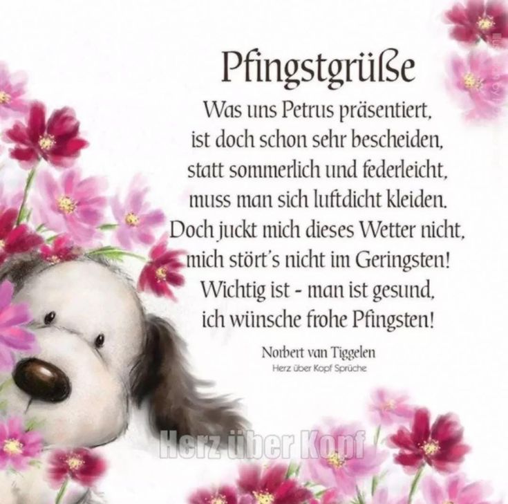 492fe76f44e182271b13e788c1cfa395