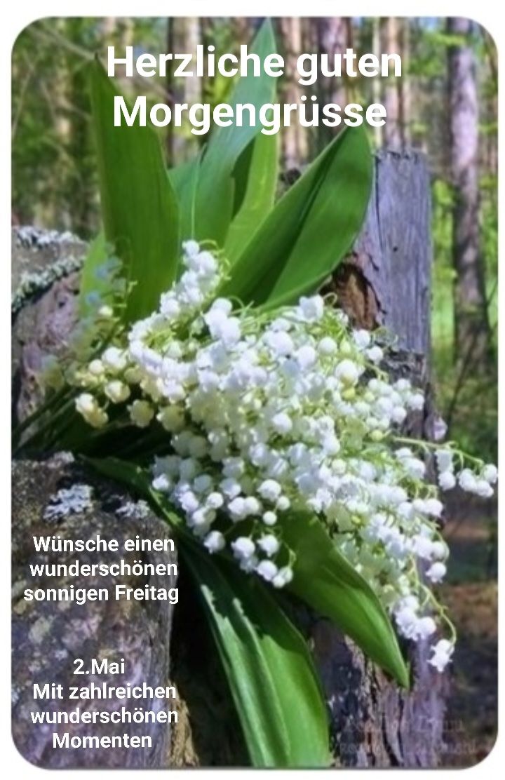 494593080_1235269581321113_181583160644733597_n