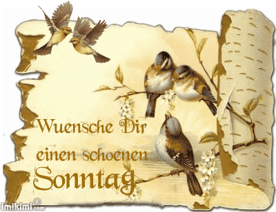 495160ff3556a105034eb93d10945827.gif sonntag