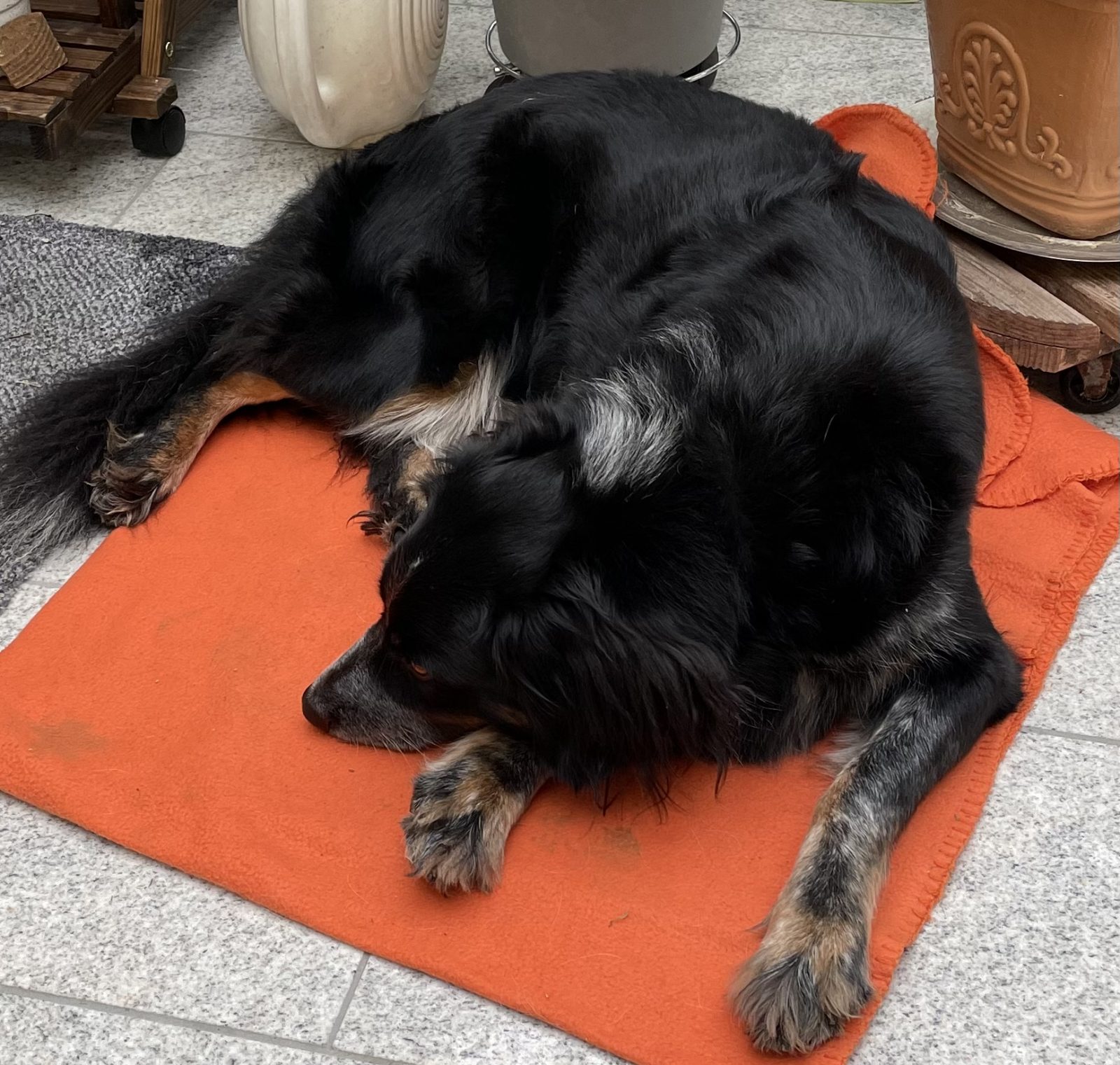 4953E527-45F9-4ADE-830F-0066ACD6E992