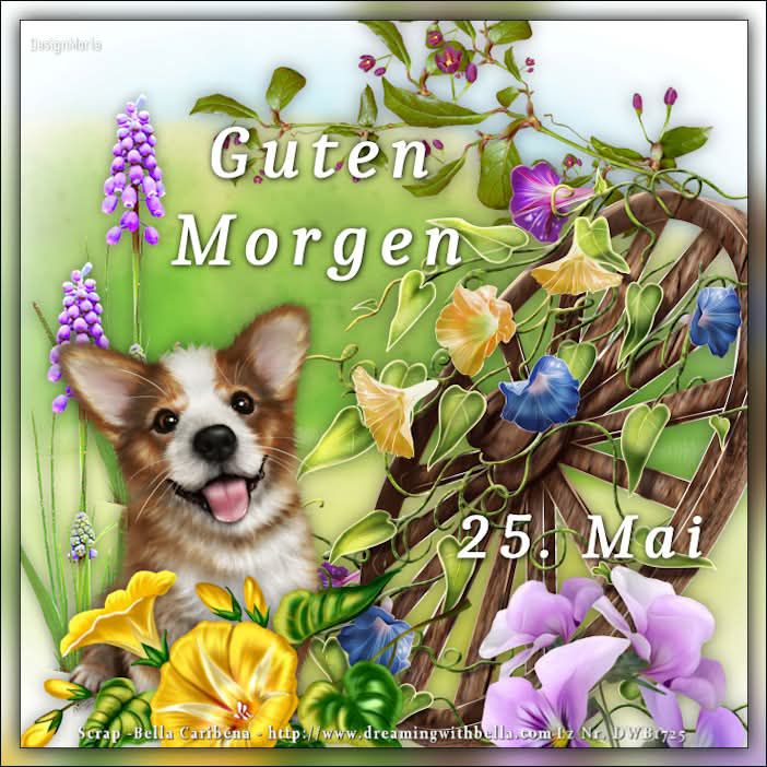 495618120_1459692112062093_4215157679741436532_n