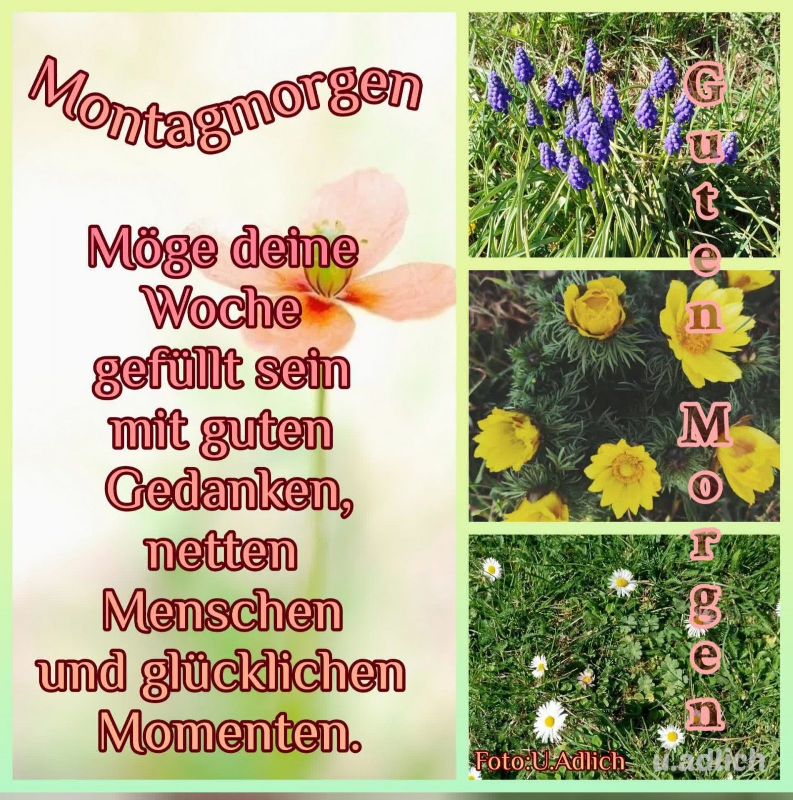 499477524_4113972108923593_9075923381478562939_n