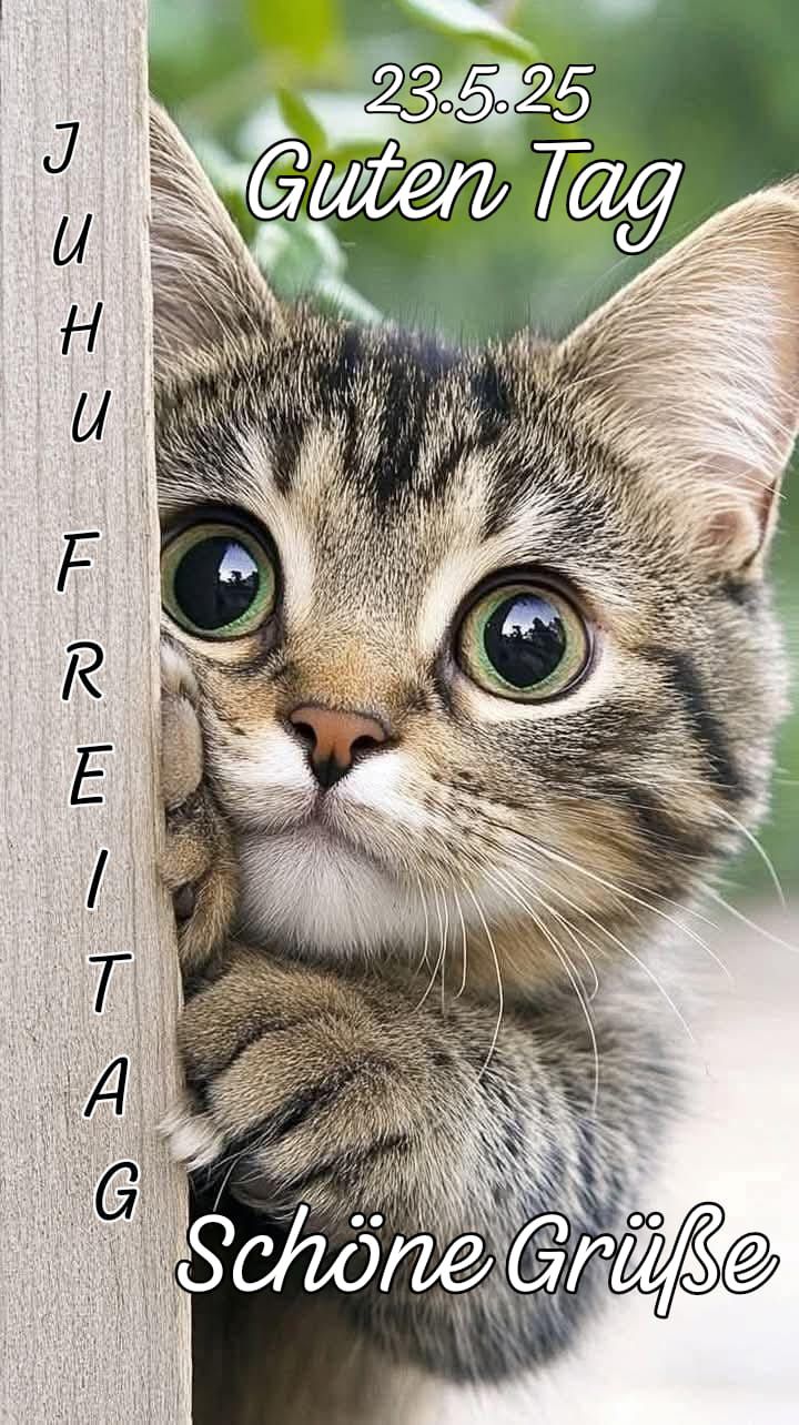 499480961_684323951122363_6777689685556238507_n