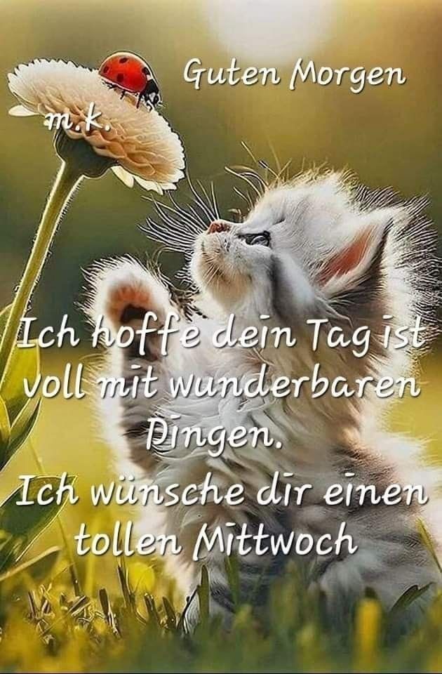 499716415_1016537410625357_4508246861845326620_n