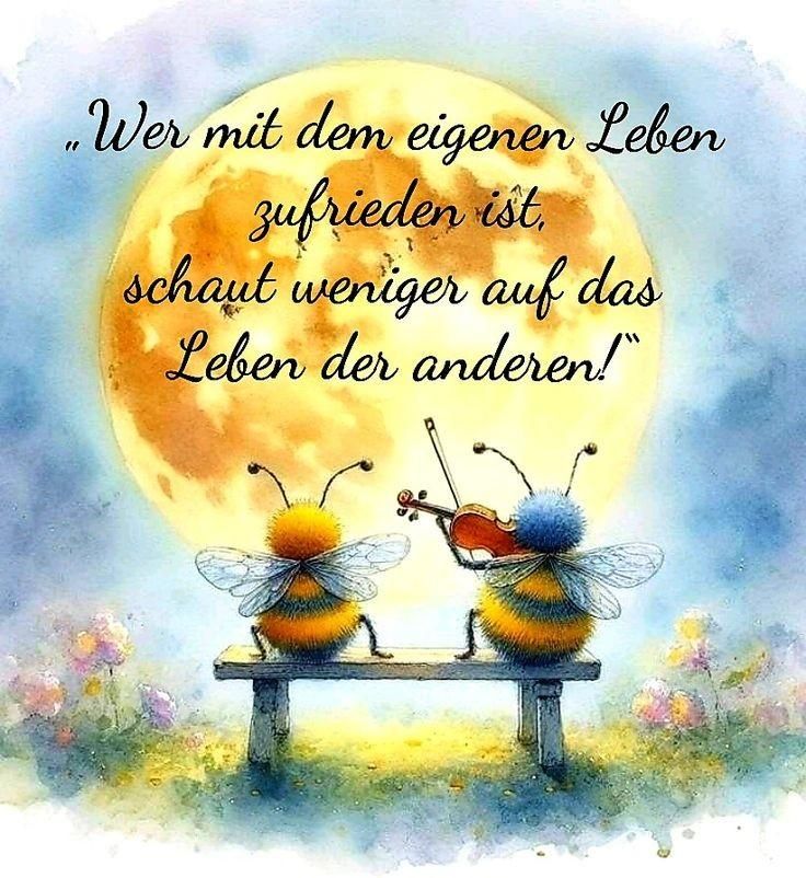 499769550_1592820821676620_5535470020362193597_n