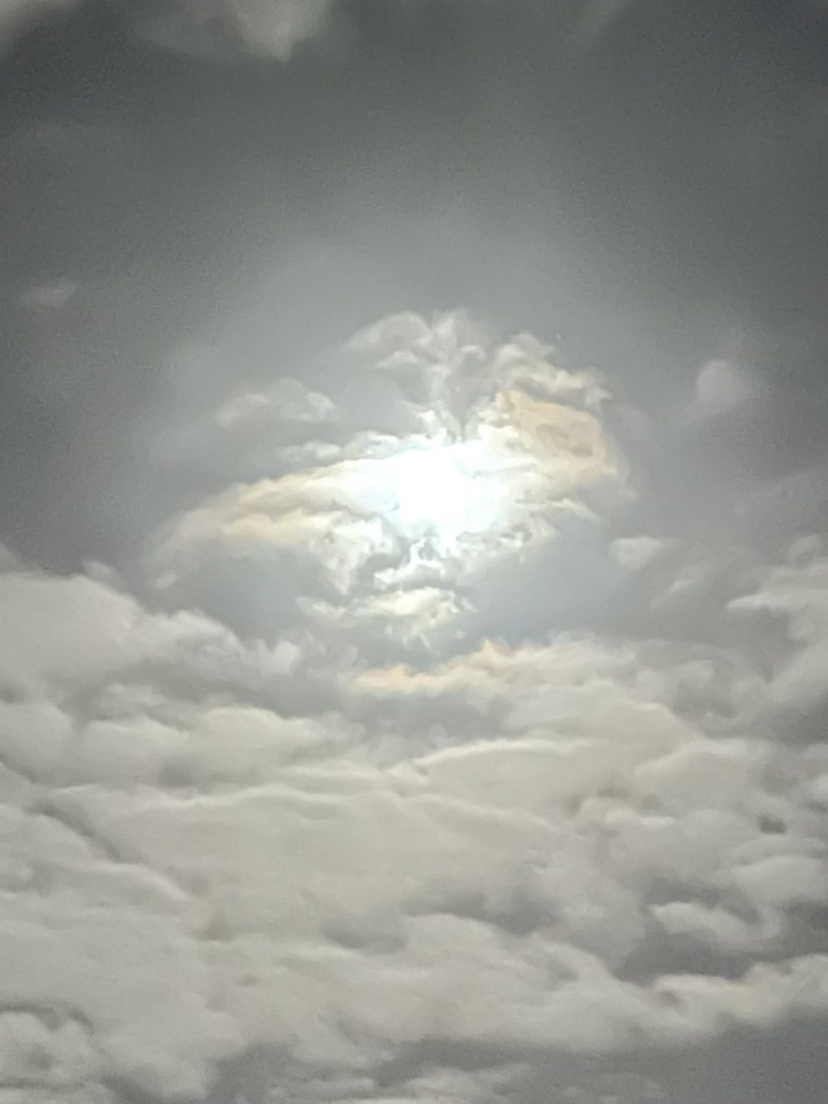 49F347D8-7CFE-4092-A83D-643BE5844354