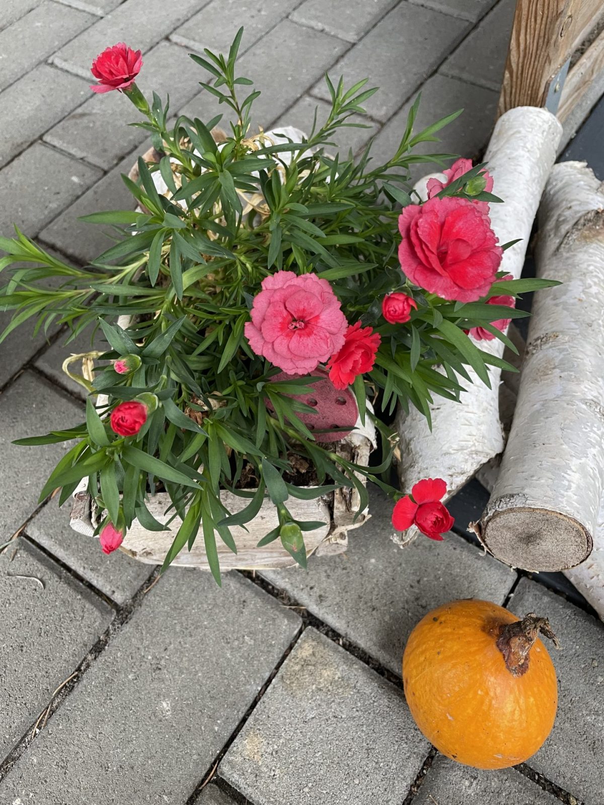 4A371C66-E240-420B-8231-BE9651599BDD