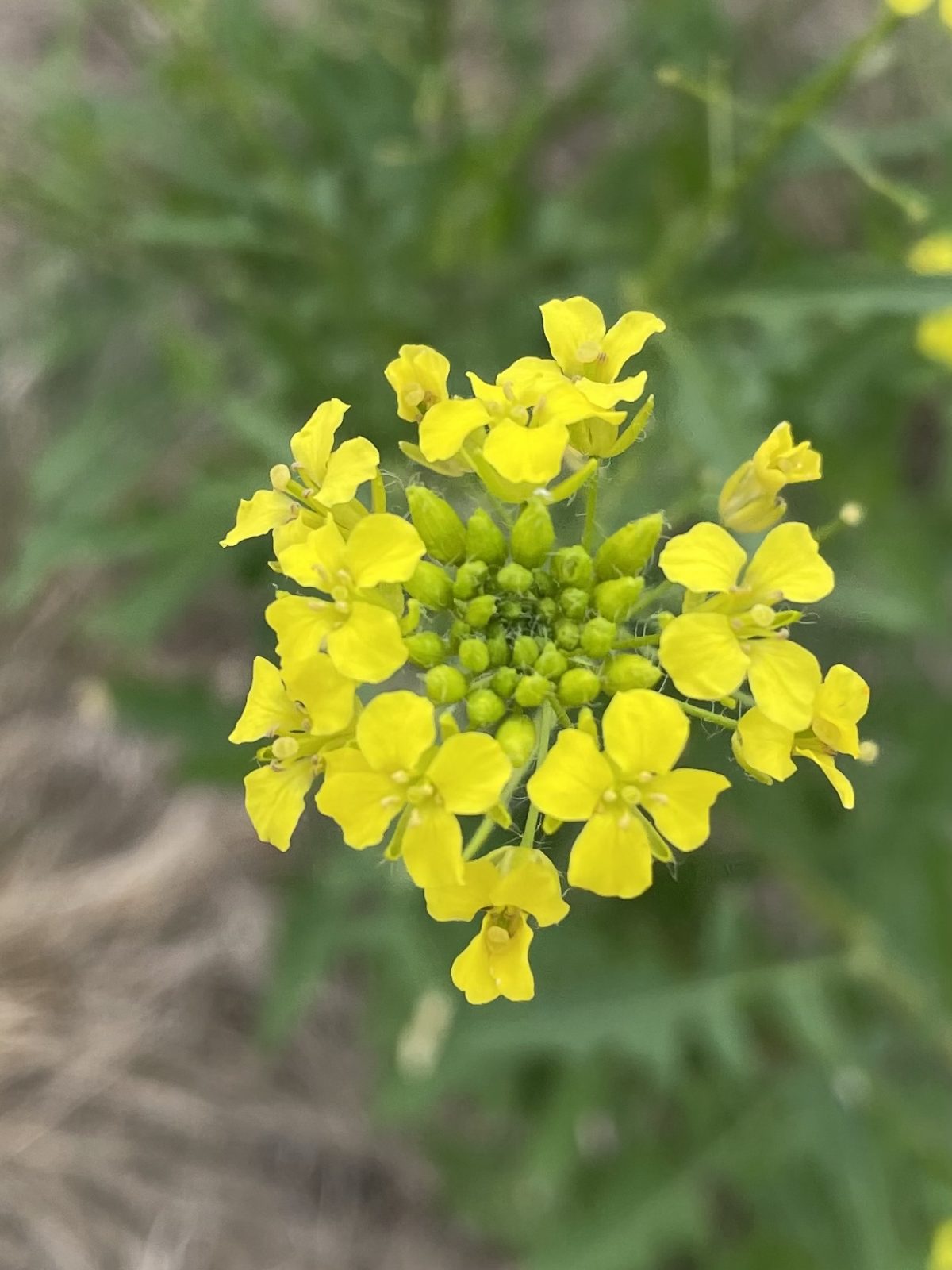 4AB69A0E-69D3-4F8F-8EE1-02AEF964C067