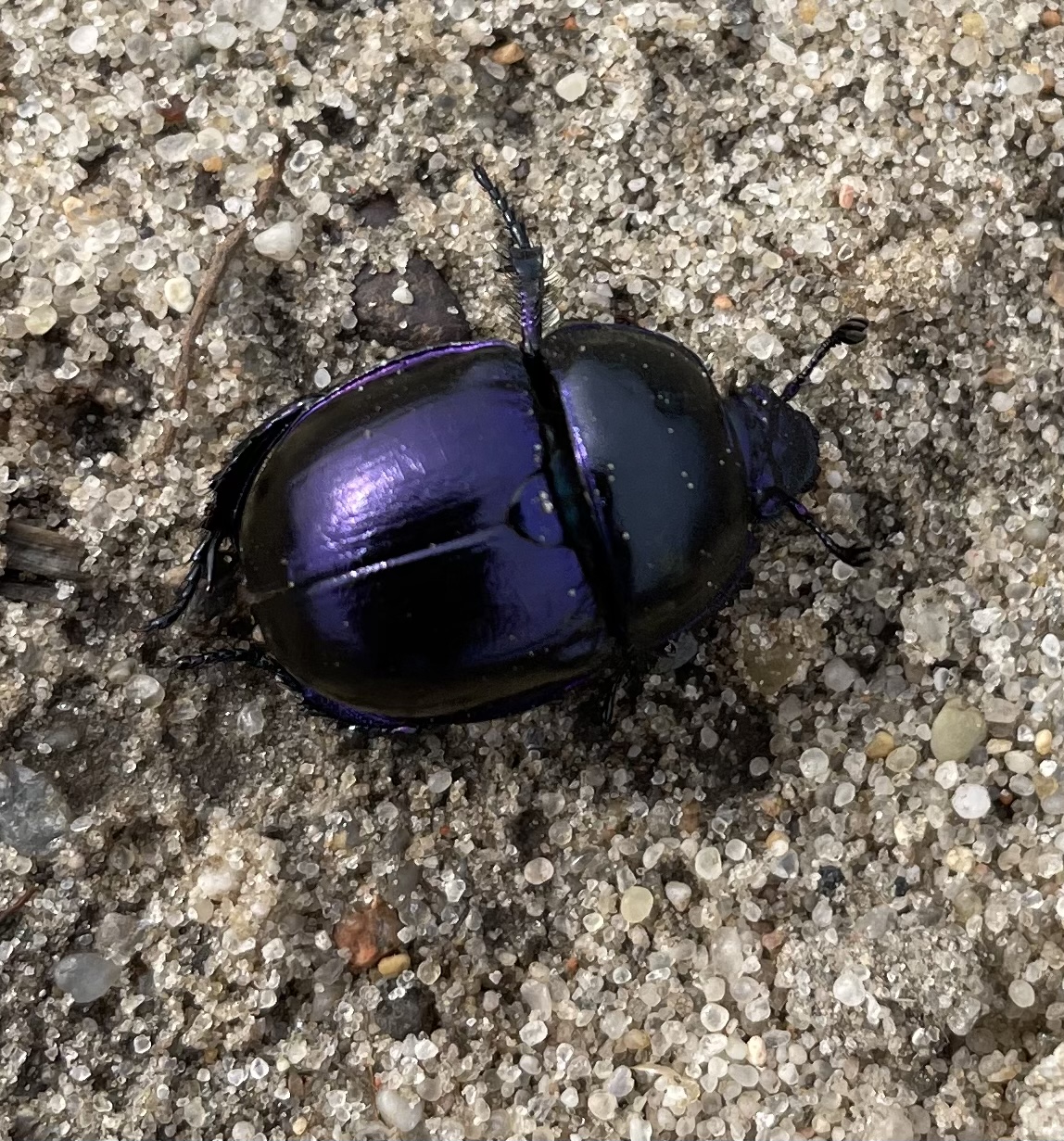 4B1EADA1-9646-4FD2-9357-3532E16C0EBC