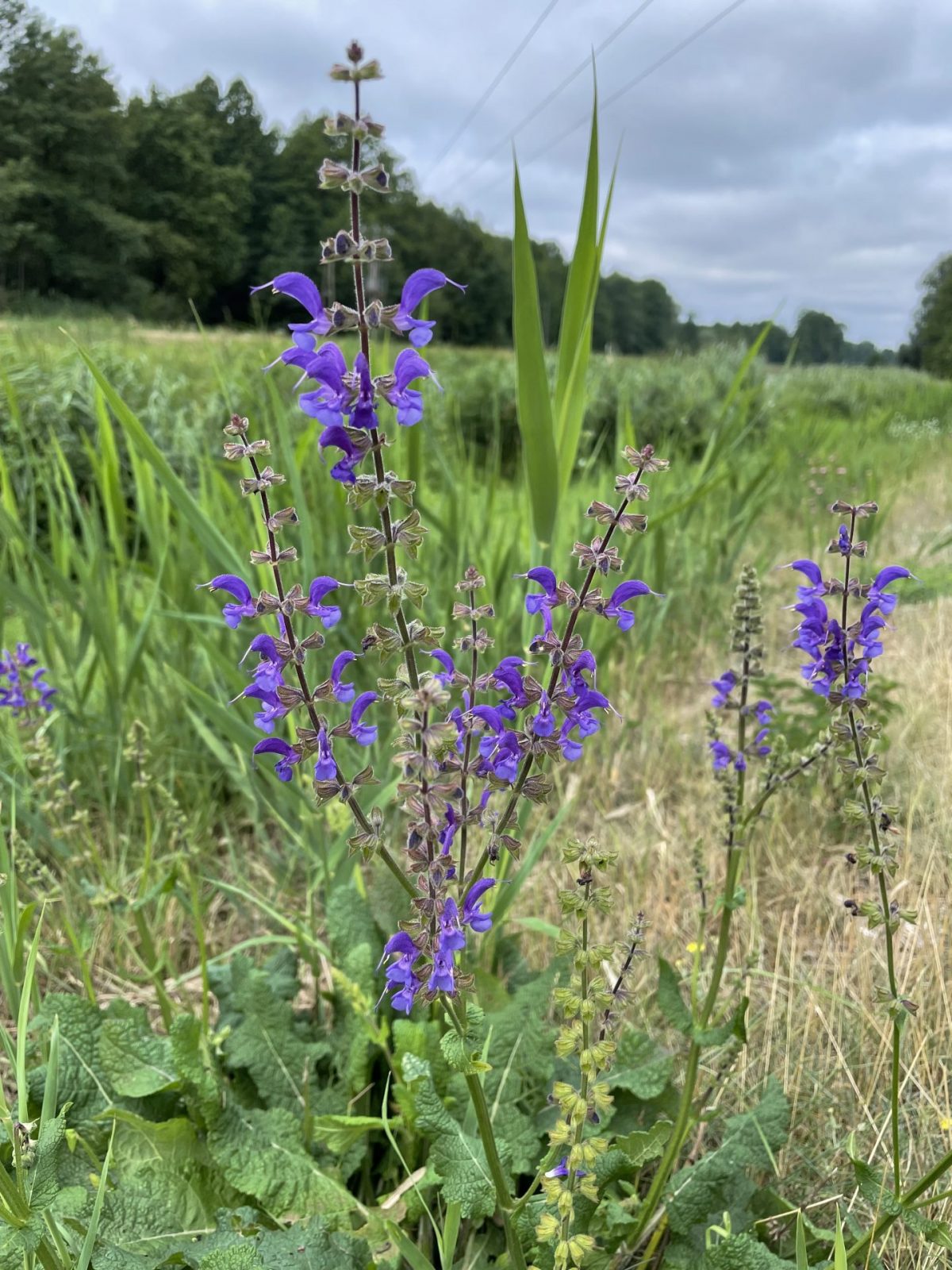 4B30EDFC-4310-4E89-8A29-71D911BEE108