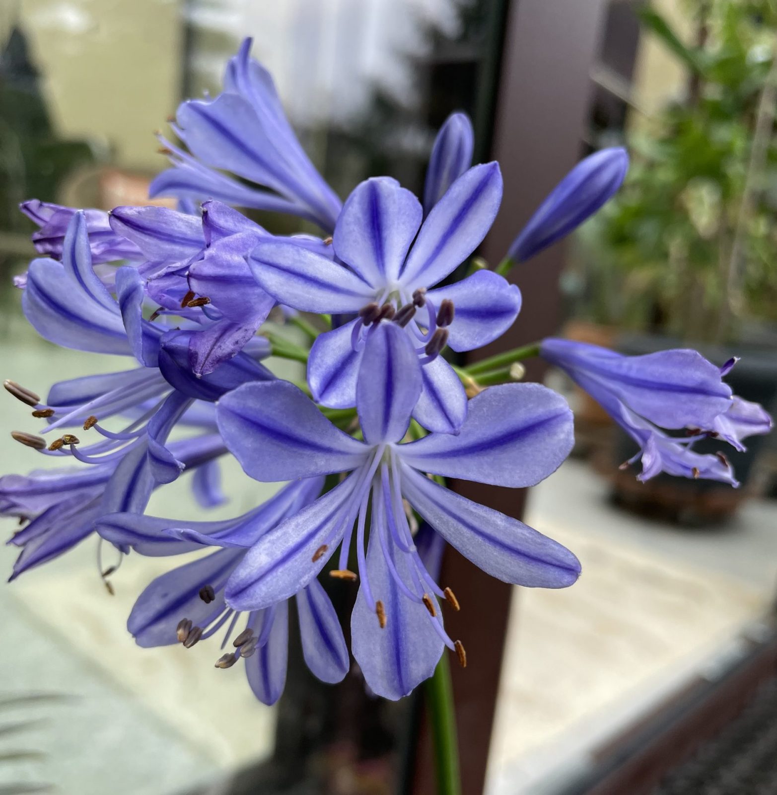 4B51A787-810E-409D-A668-FA59D256762D