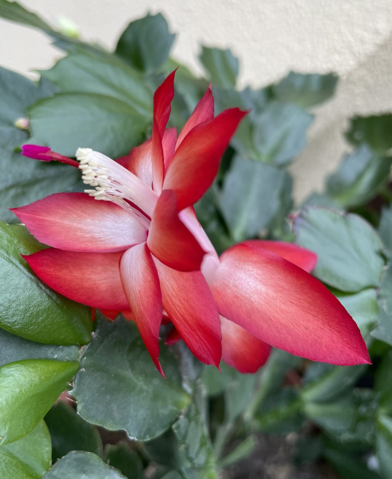 4B6ACA50-1151-4BD9-87B8-D7D44C9FE6B7