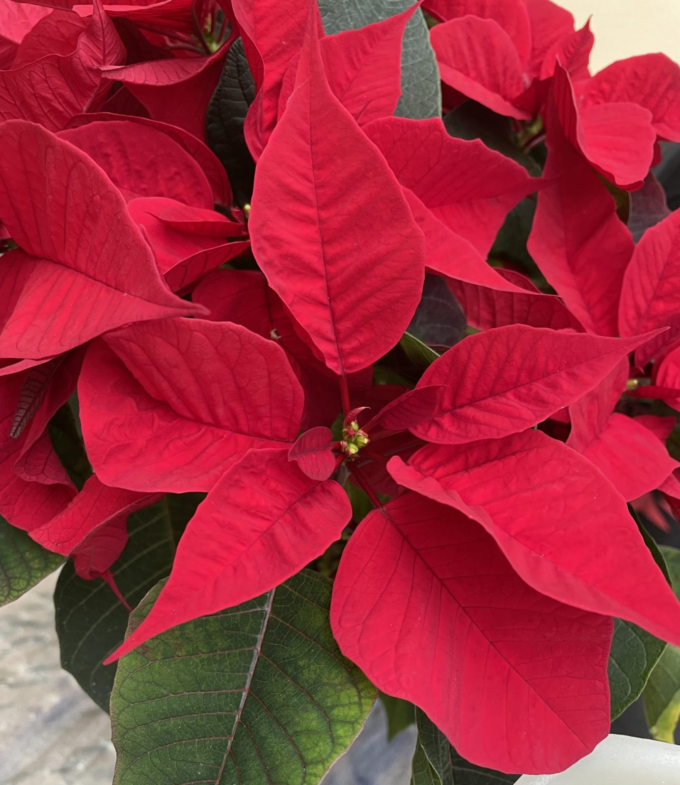 4BC58109-919B-4AFA-9CB4-294FC06A6774