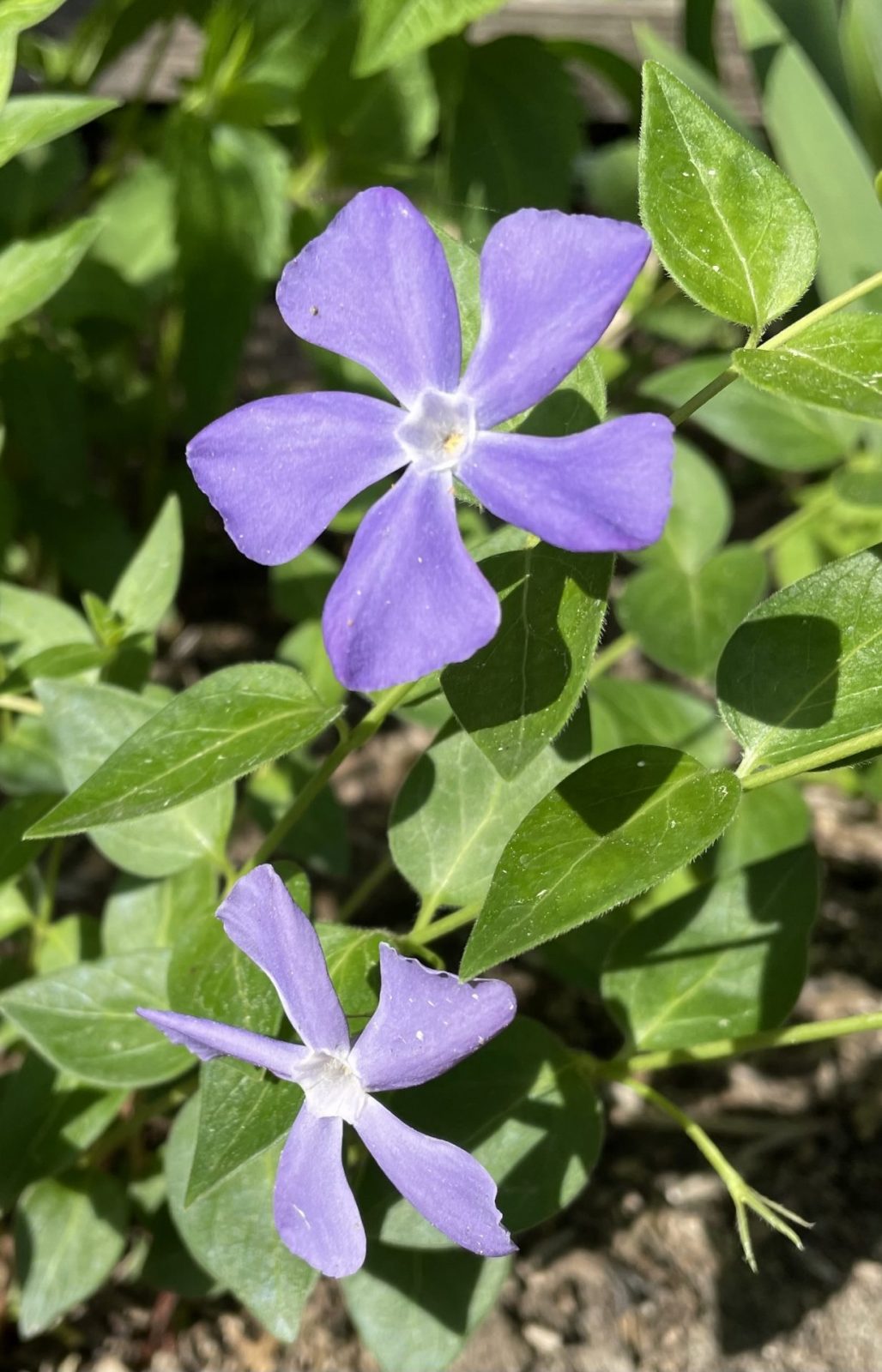 4BC96BD3-9ACF-4934-867D-22D18C61233E