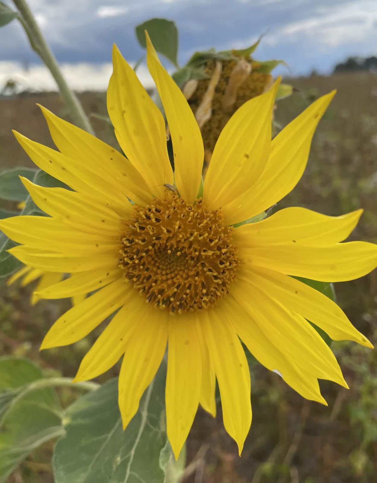 4C016C7C-9867-46DB-914F-F529BF57B617