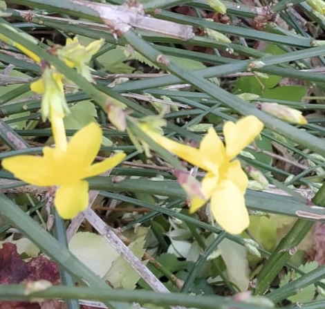 4C0F1C51-7229-4022-9CBE-499E058334CC