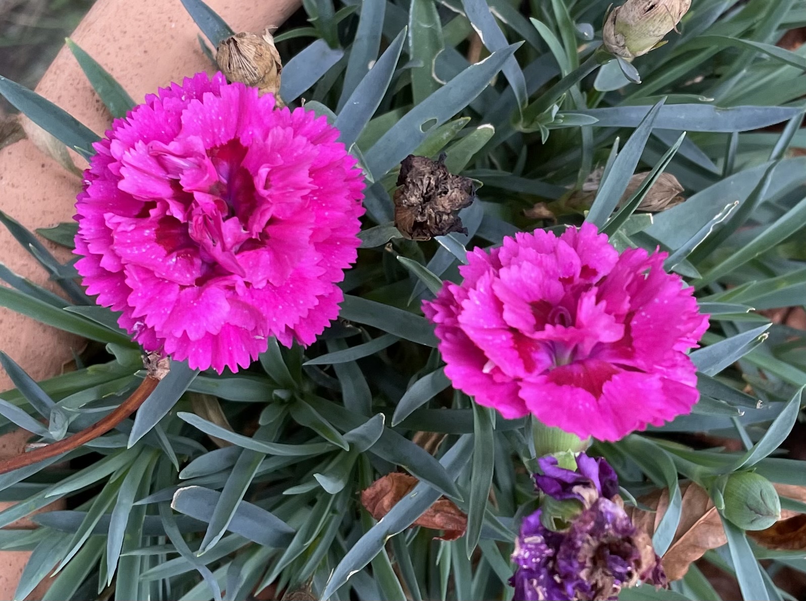 4C2B5516-51F4-4A3C-9661-4515086DDCD6