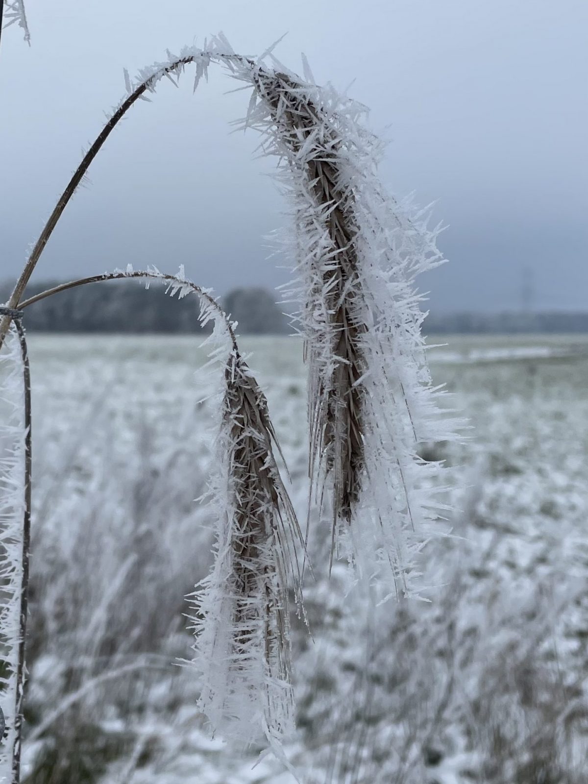 4C475600-ABF1-4771-B5AA-7EE424097B04