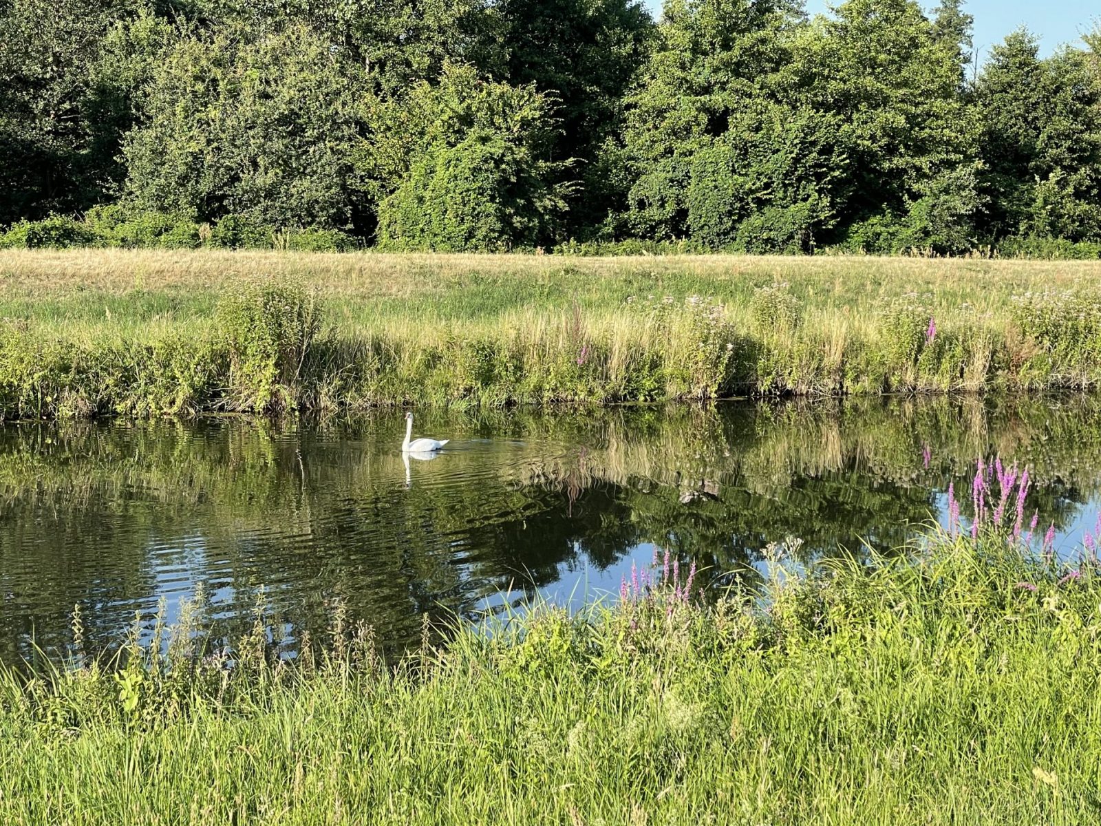 4C5A6A5A-3CB7-4828-A23D-8290659FBF90