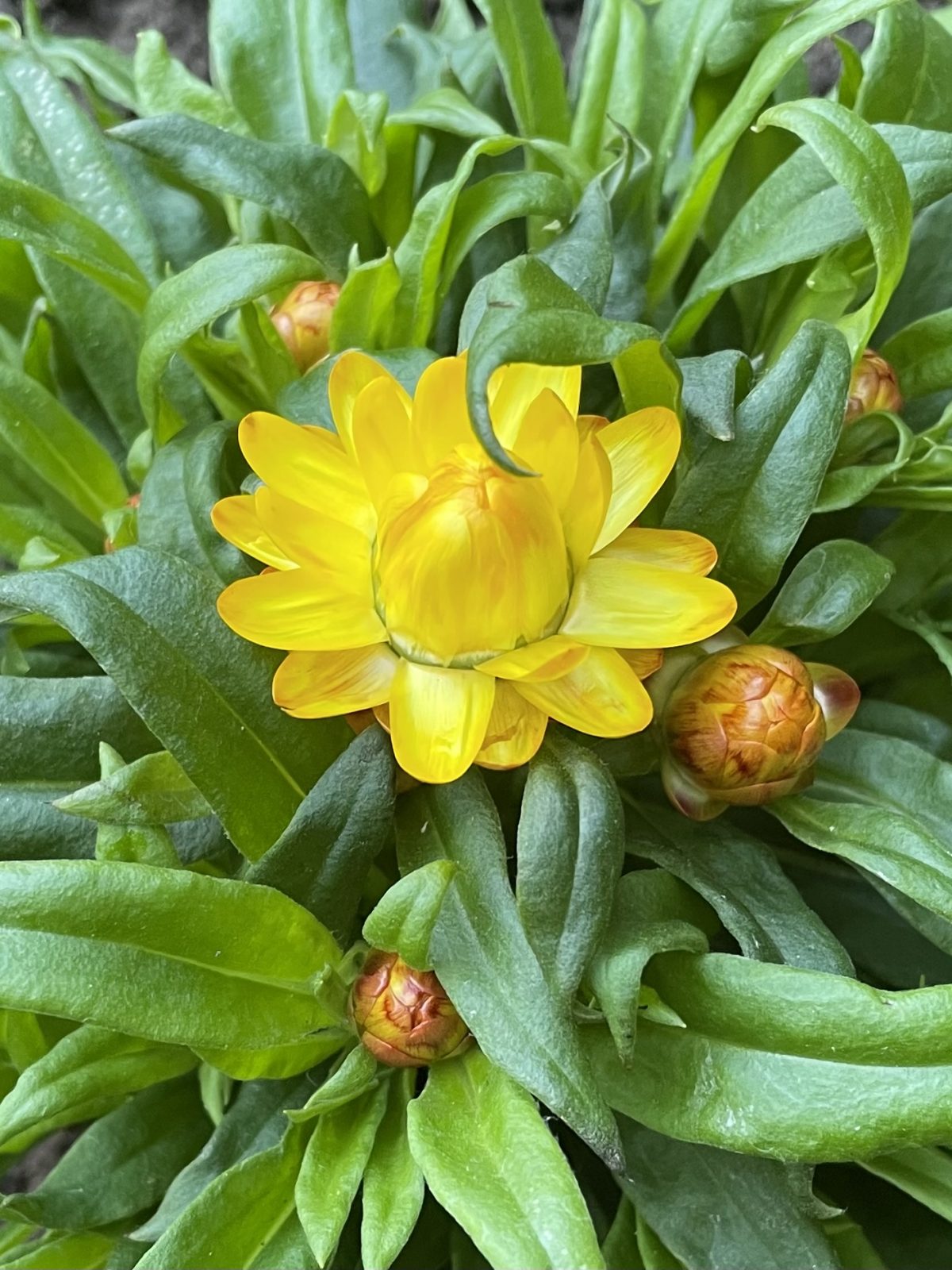 4C7AC288-D79F-4001-9F3E-8B854A638CBC