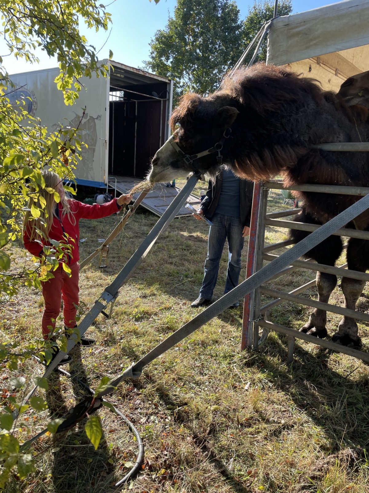 4CFE5D9A-3551-4A57-A3C4-0D53153C0ADD