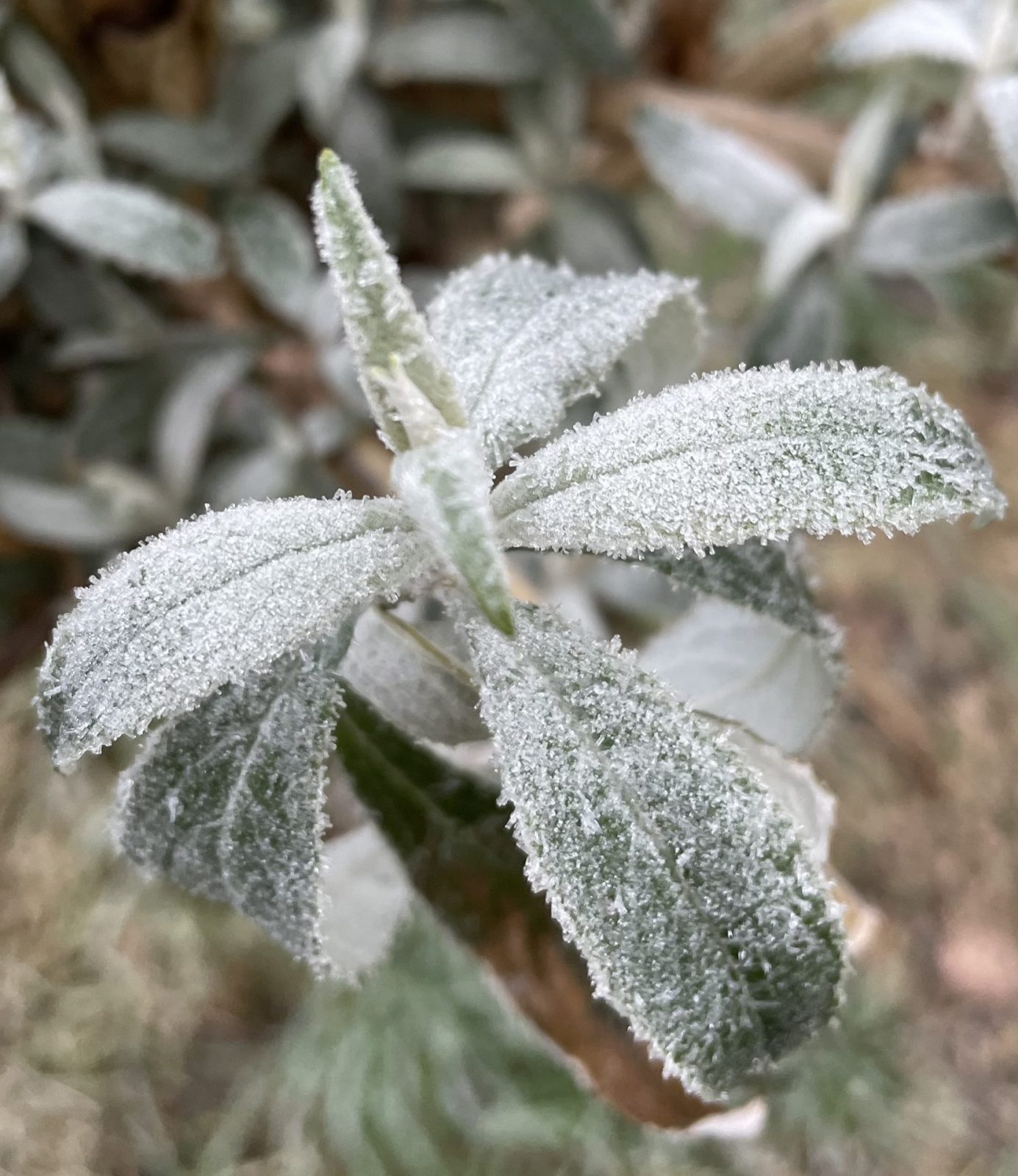 4DD88492-49C3-4206-BD62-DBD9D96823C5