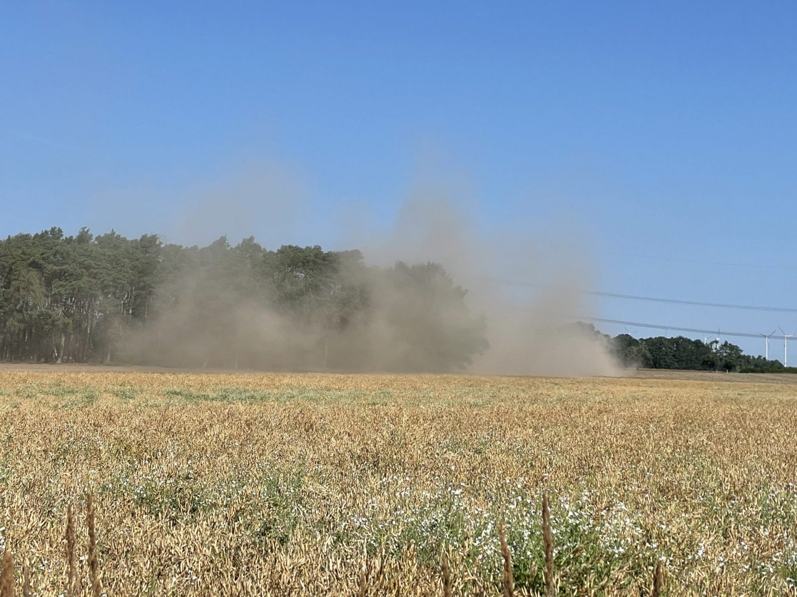 4DE0E66A-733F-4B7A-9CA8-A9C238B13B5F