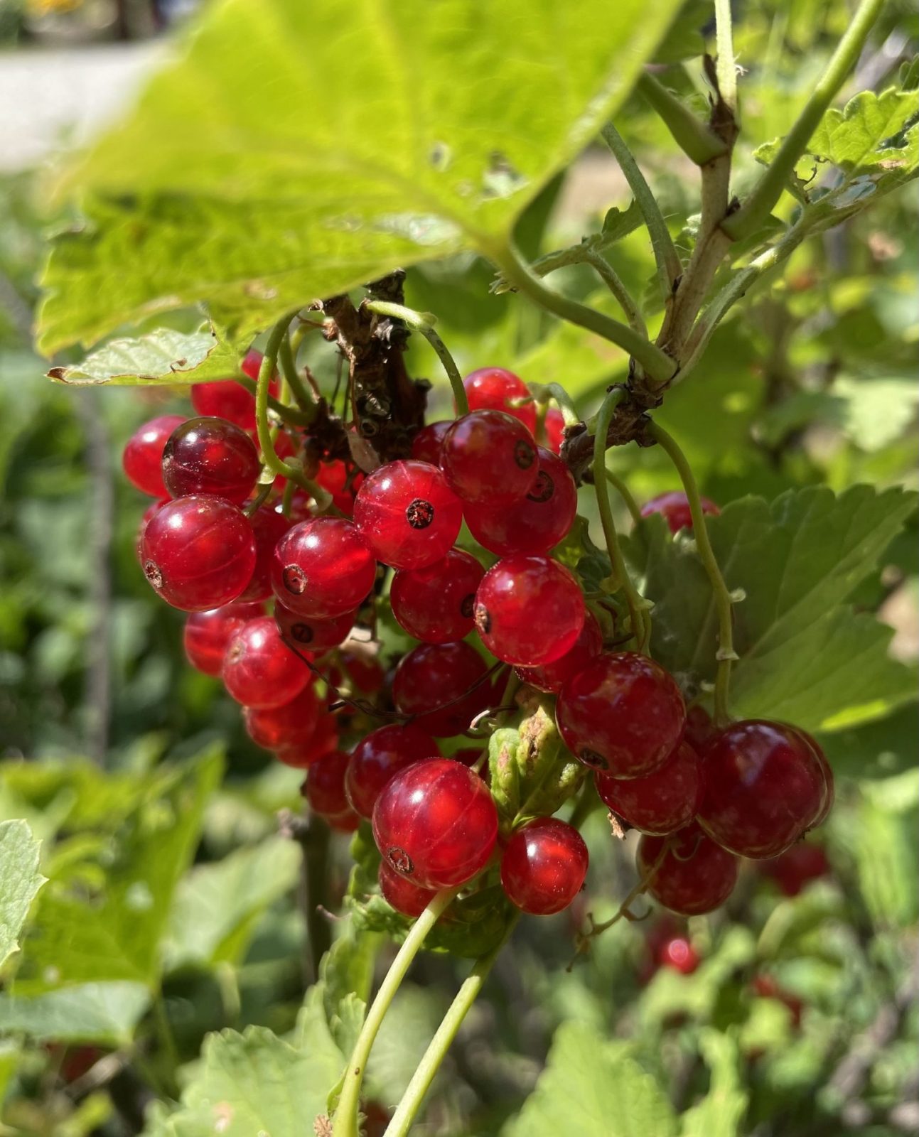 4E393DB4-575A-458D-8B9F-6D43ABFF7775