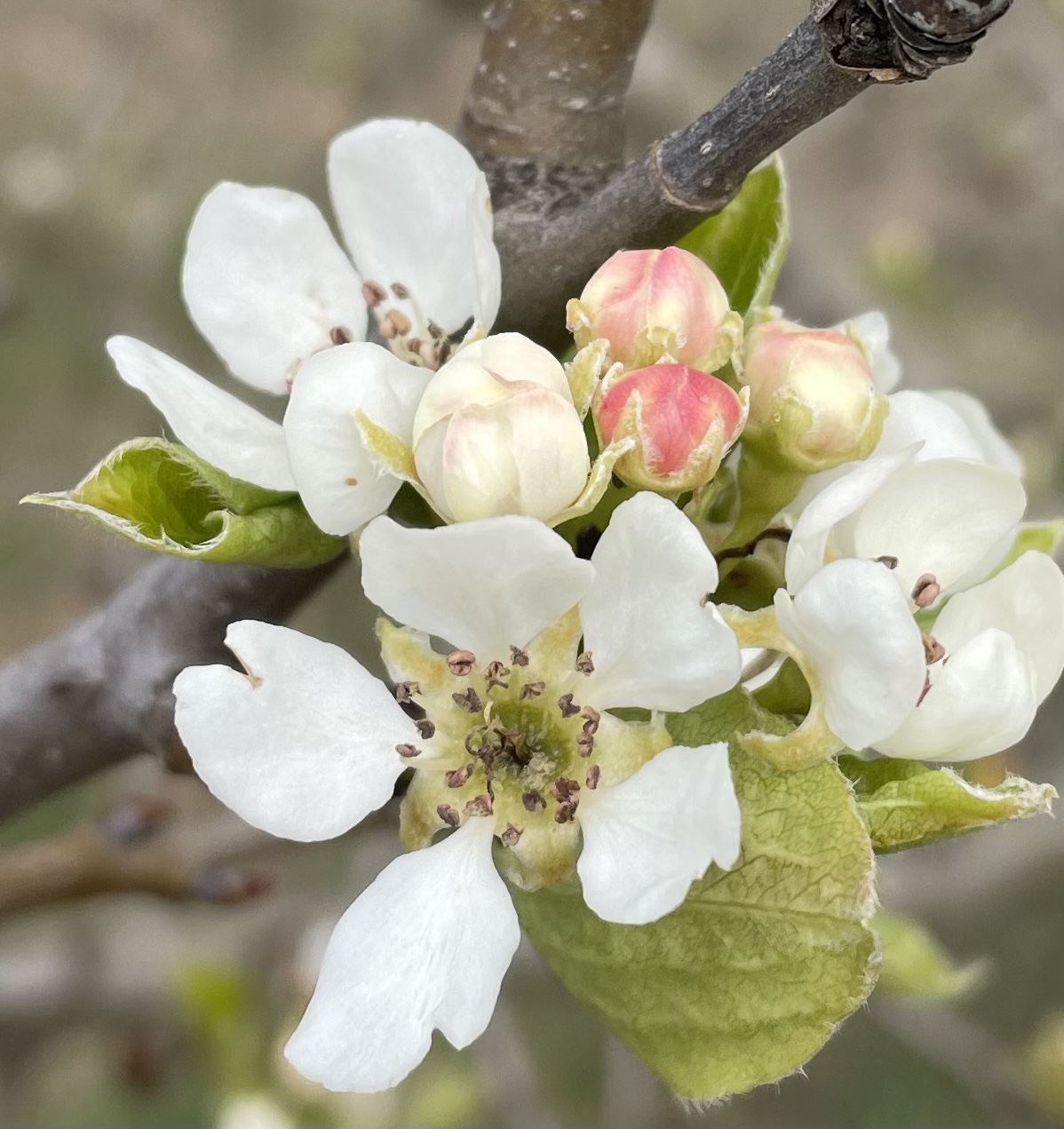 4E812DE0-994A-4AD8-A1E8-F290D511E349