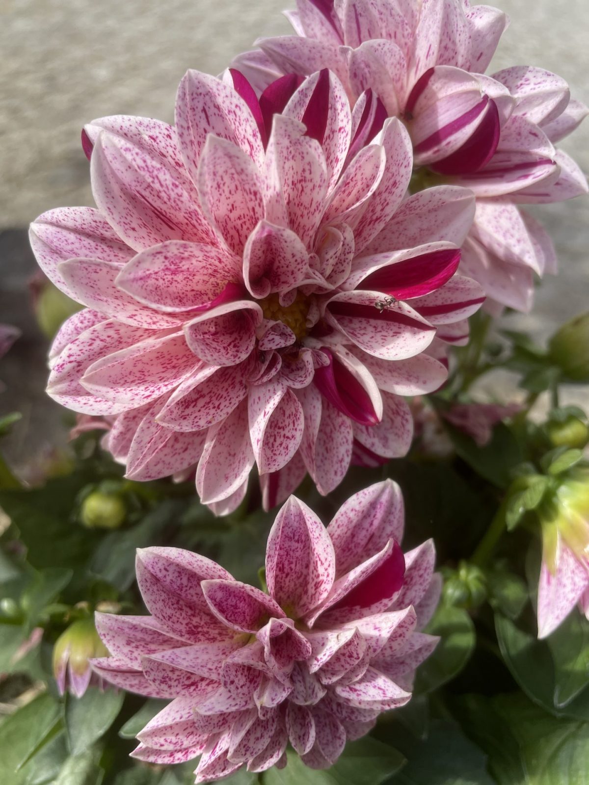 4E8A1571-F647-4F79-8086-1BEB522DE328