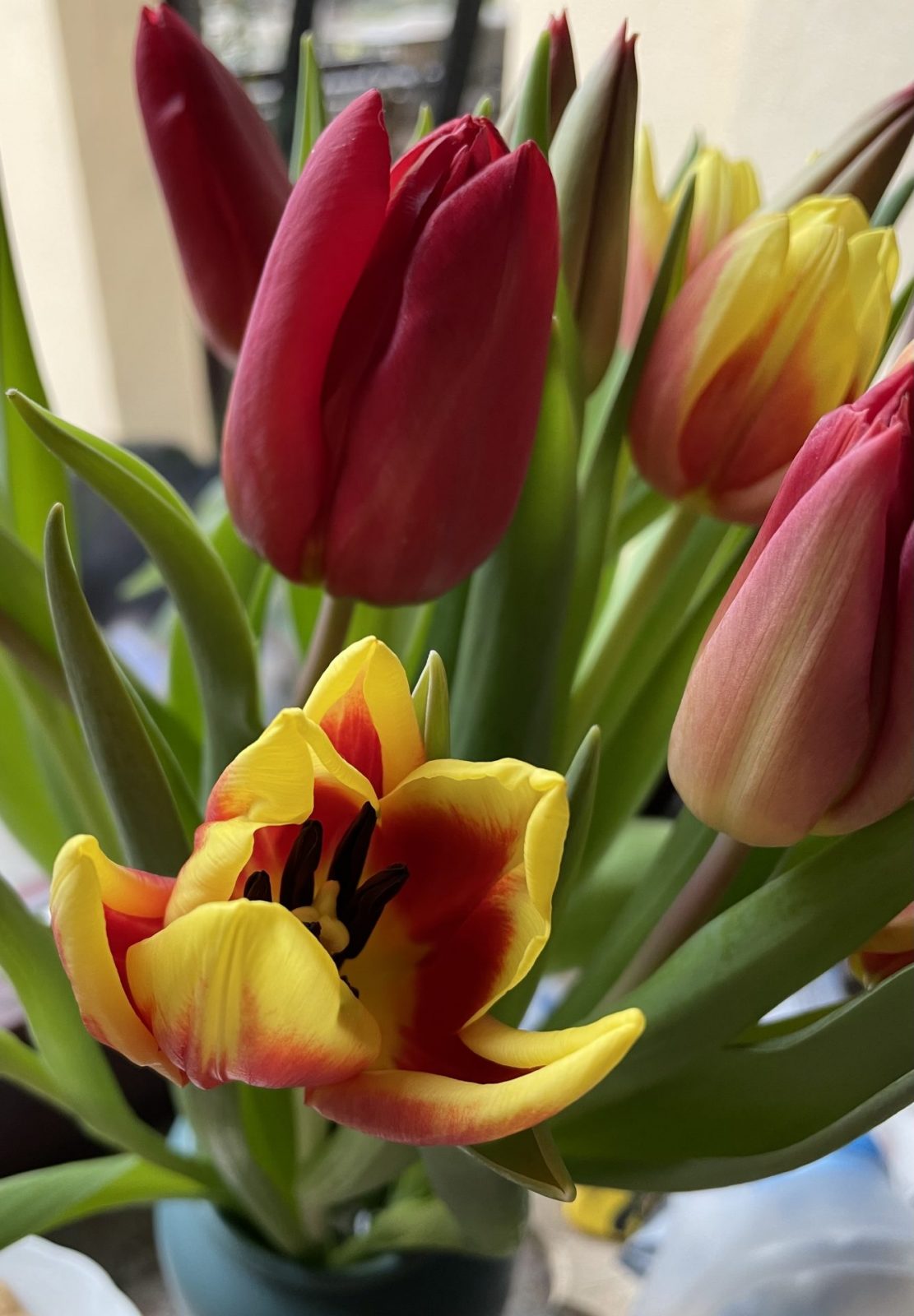 4EBB240E-D357-4A78-ADBE-C81A5170F1D7