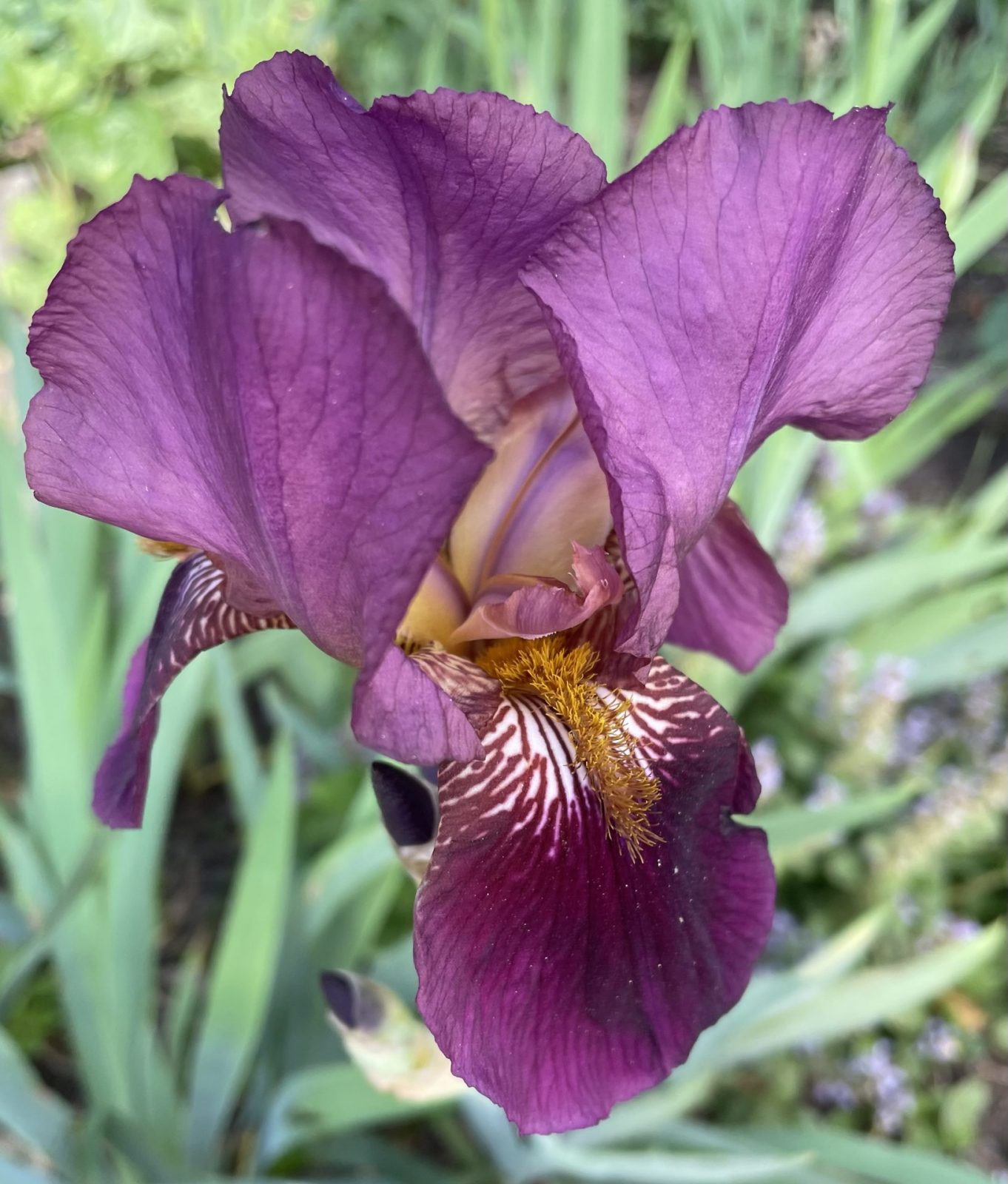 4EC16091-30A7-4099-9083-D0A991AEA783