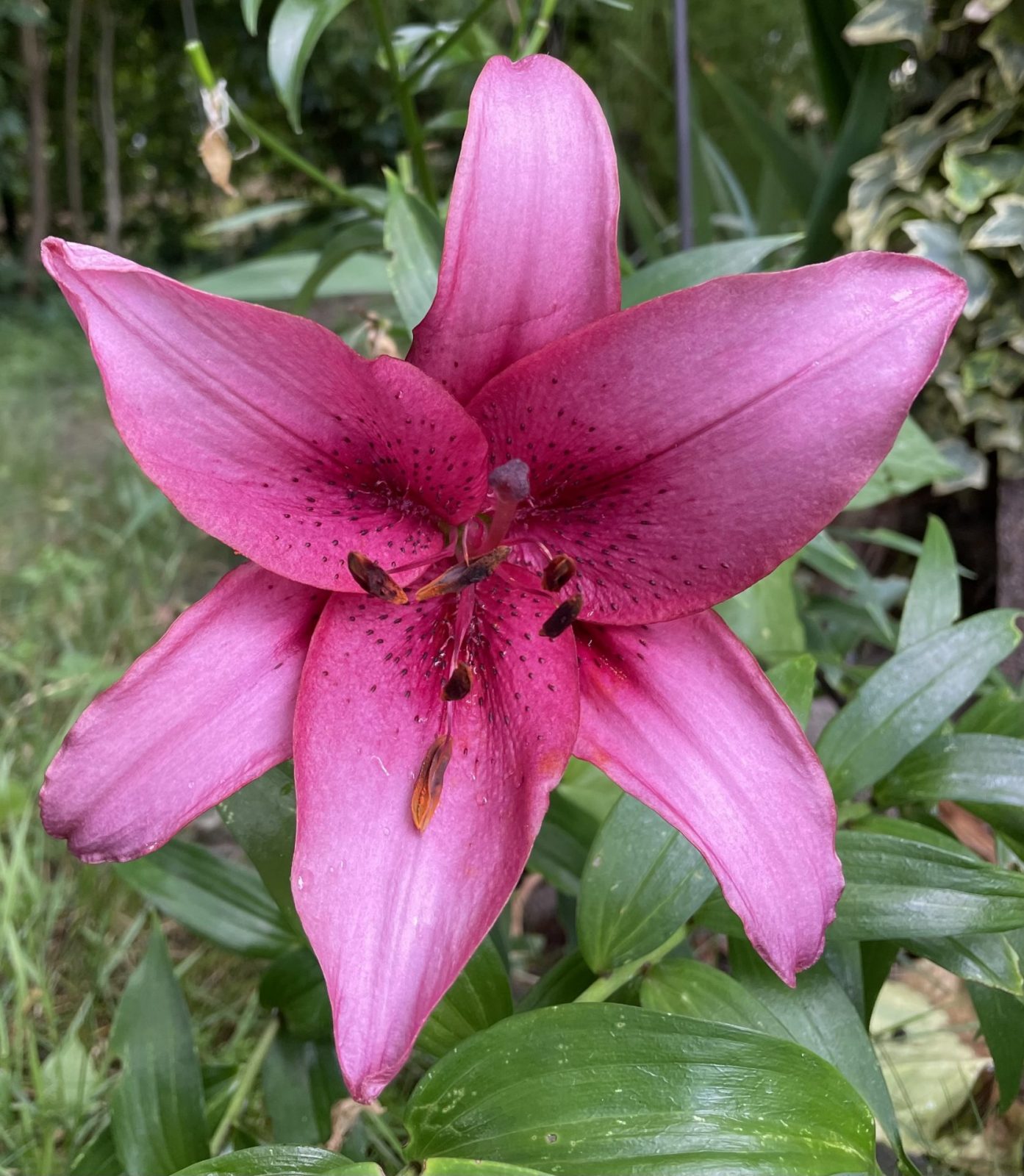 4EEF2DC3-2BC3-40C2-AD65-AF99DA2CC878