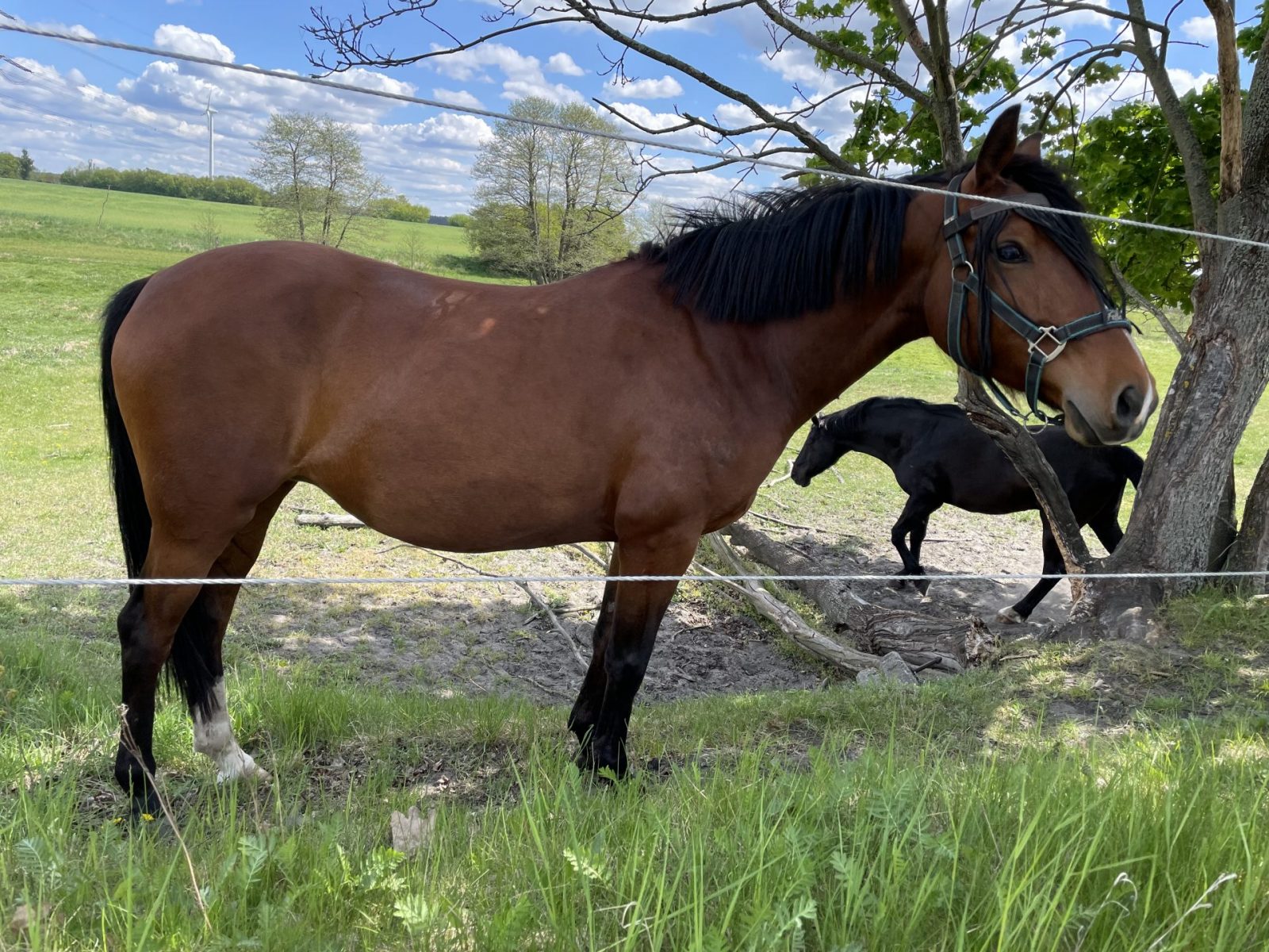 4F184F1C-F8C0-4644-897C-6FABB2031430